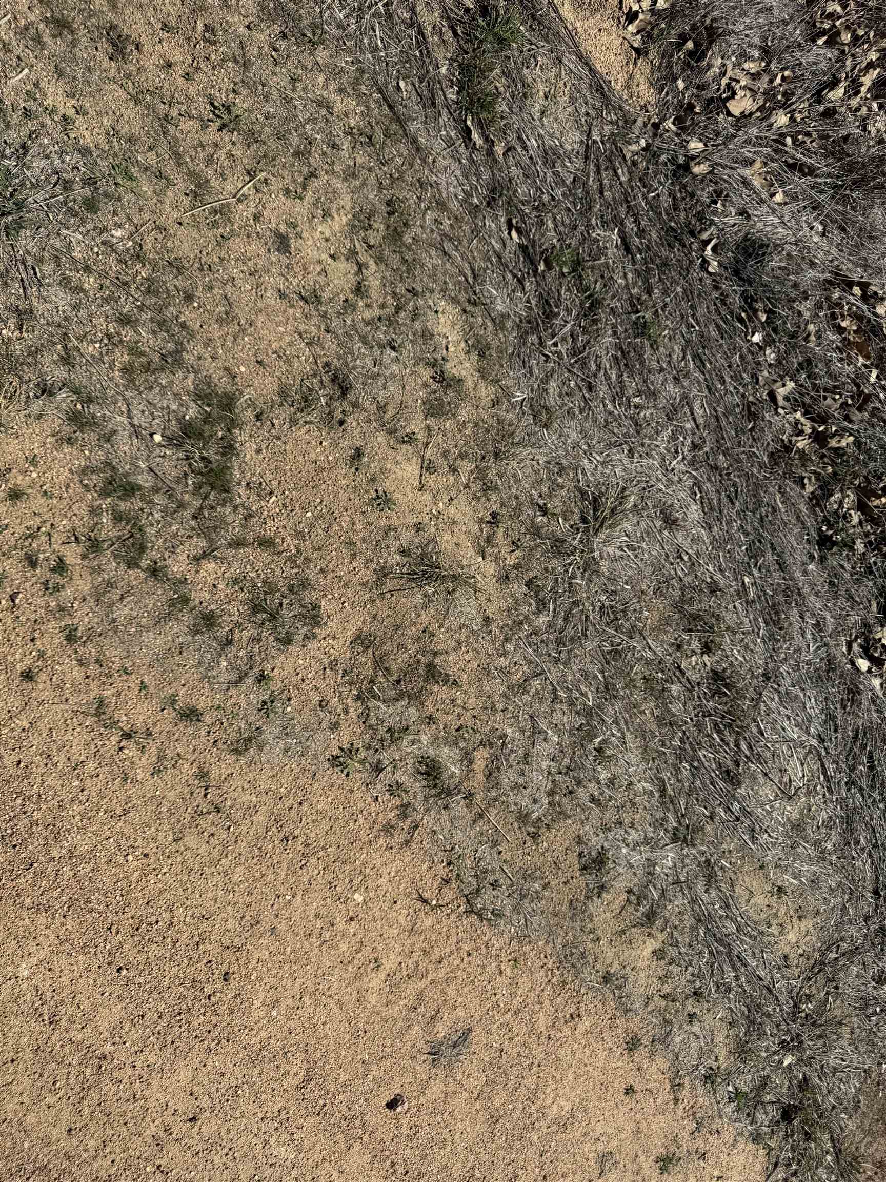 Lot 103 Ridgemont Drive Property Photo 5
