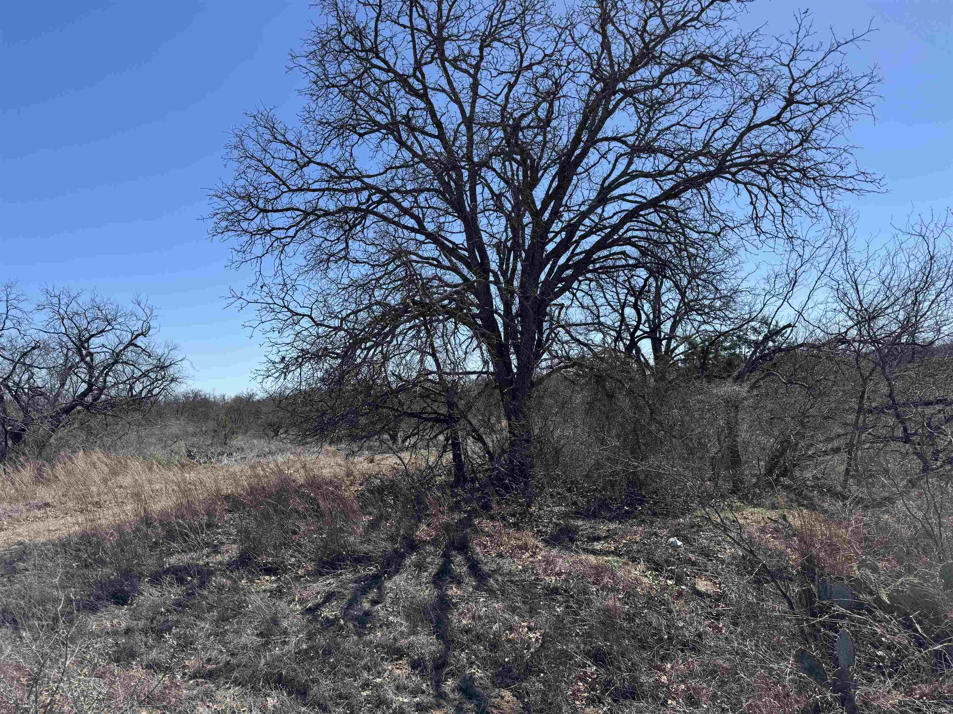 Lot 103 Ridgemont Drive Property Photo 6