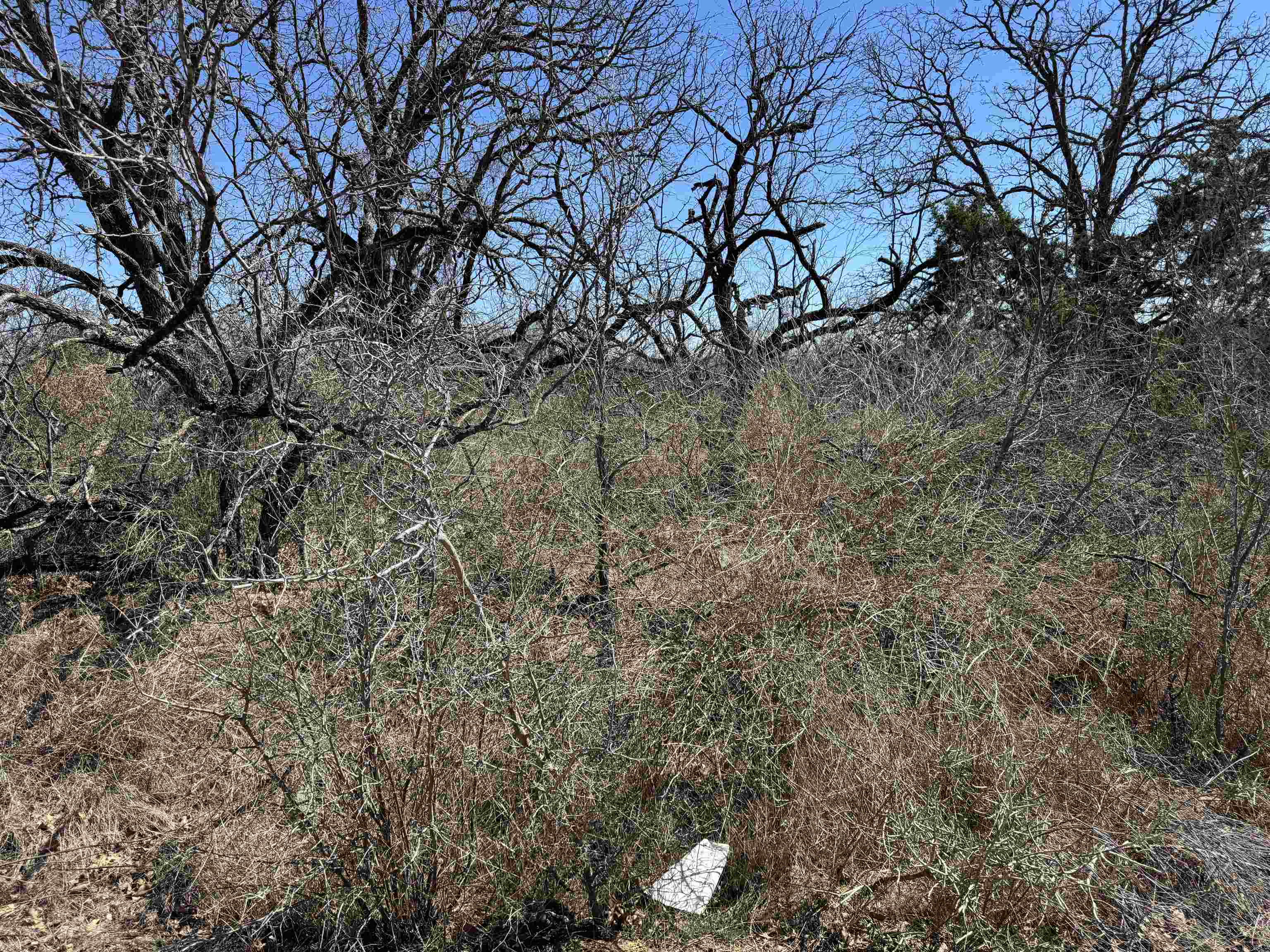 Lot 103 Ridgemont Drive Property Photo 7
