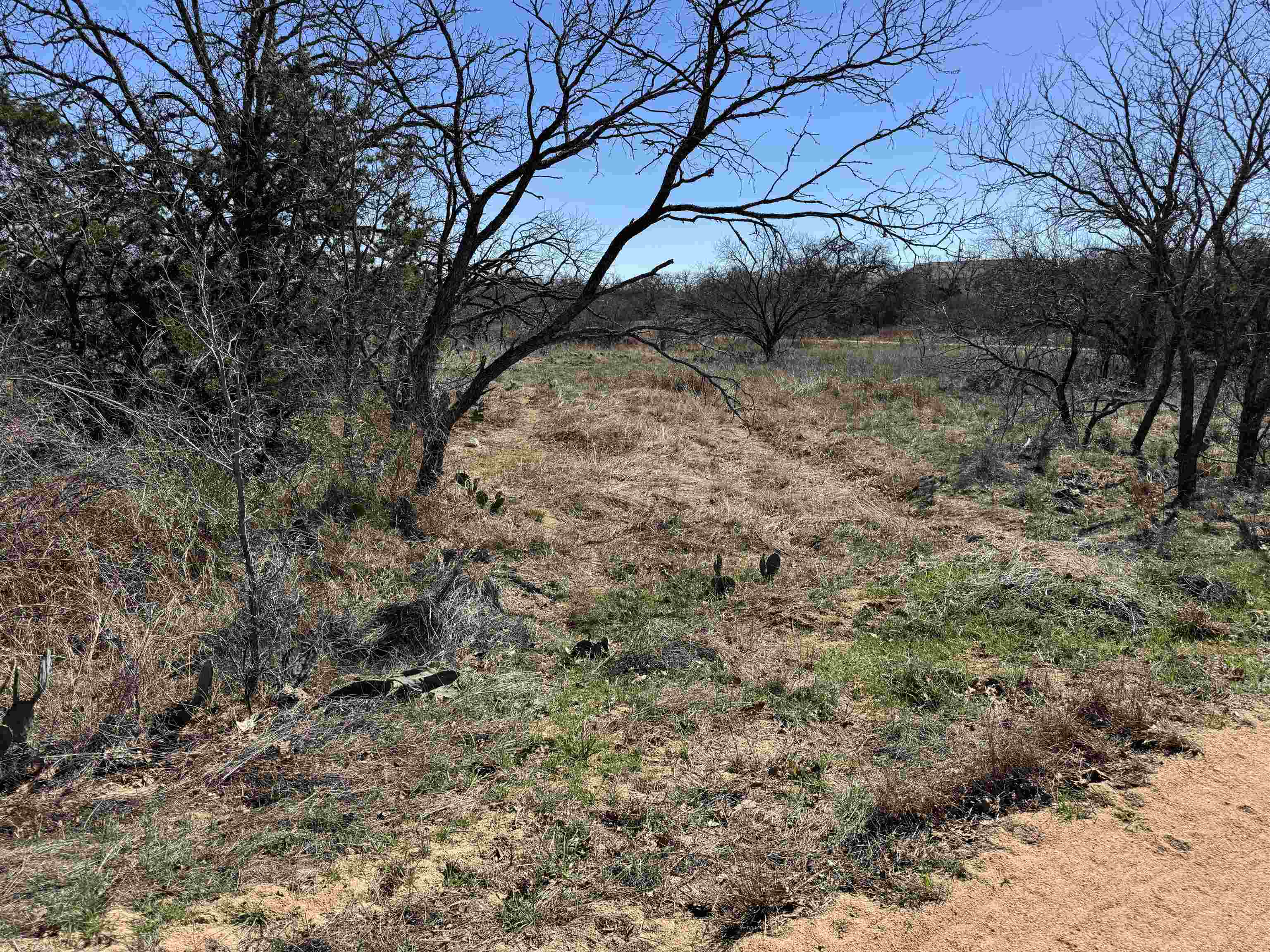 Lot 103 Ridgemont Drive Property Photo 8