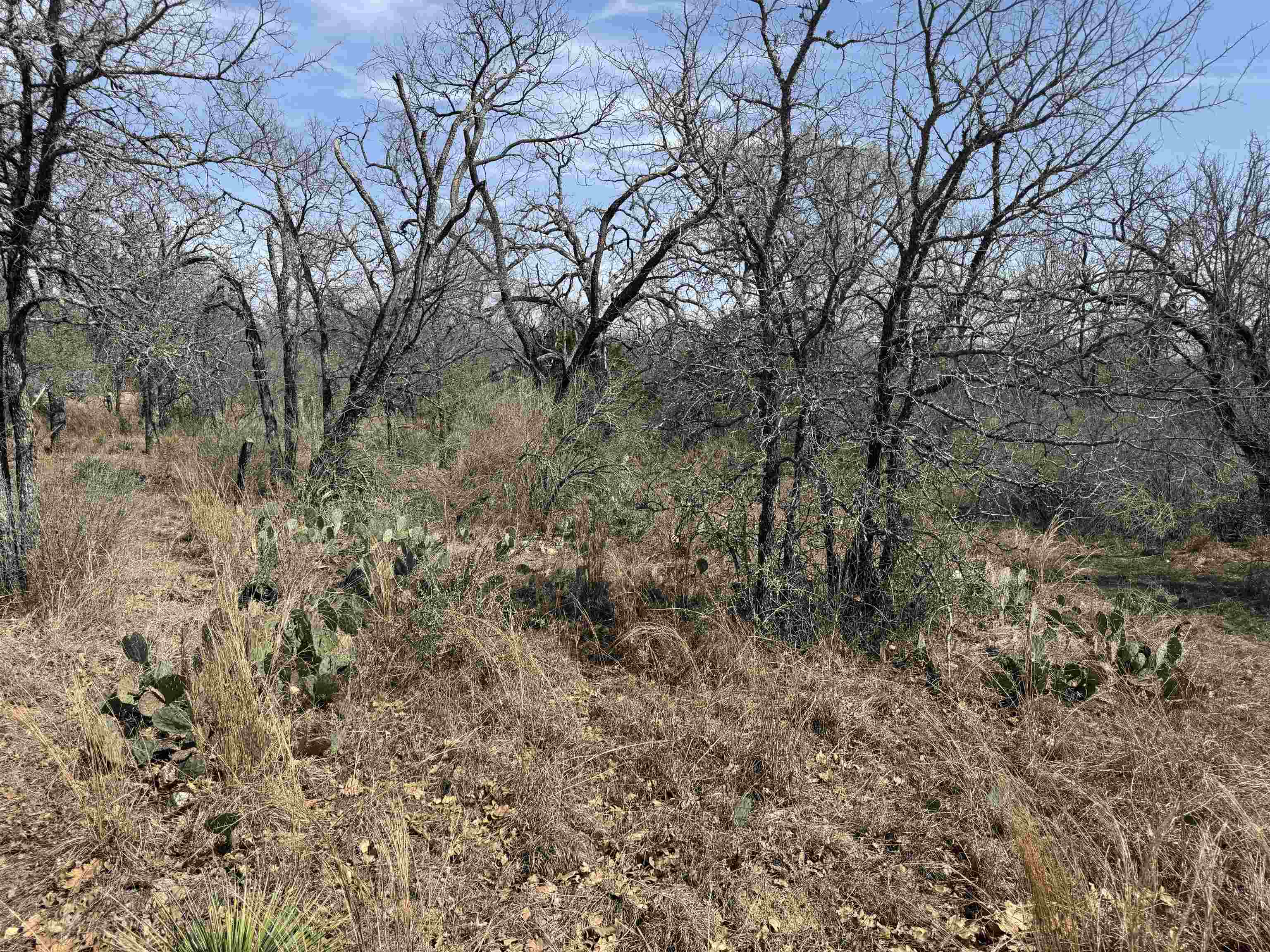 Lot 300-304 Link/pinemont Drive Property Photo 1