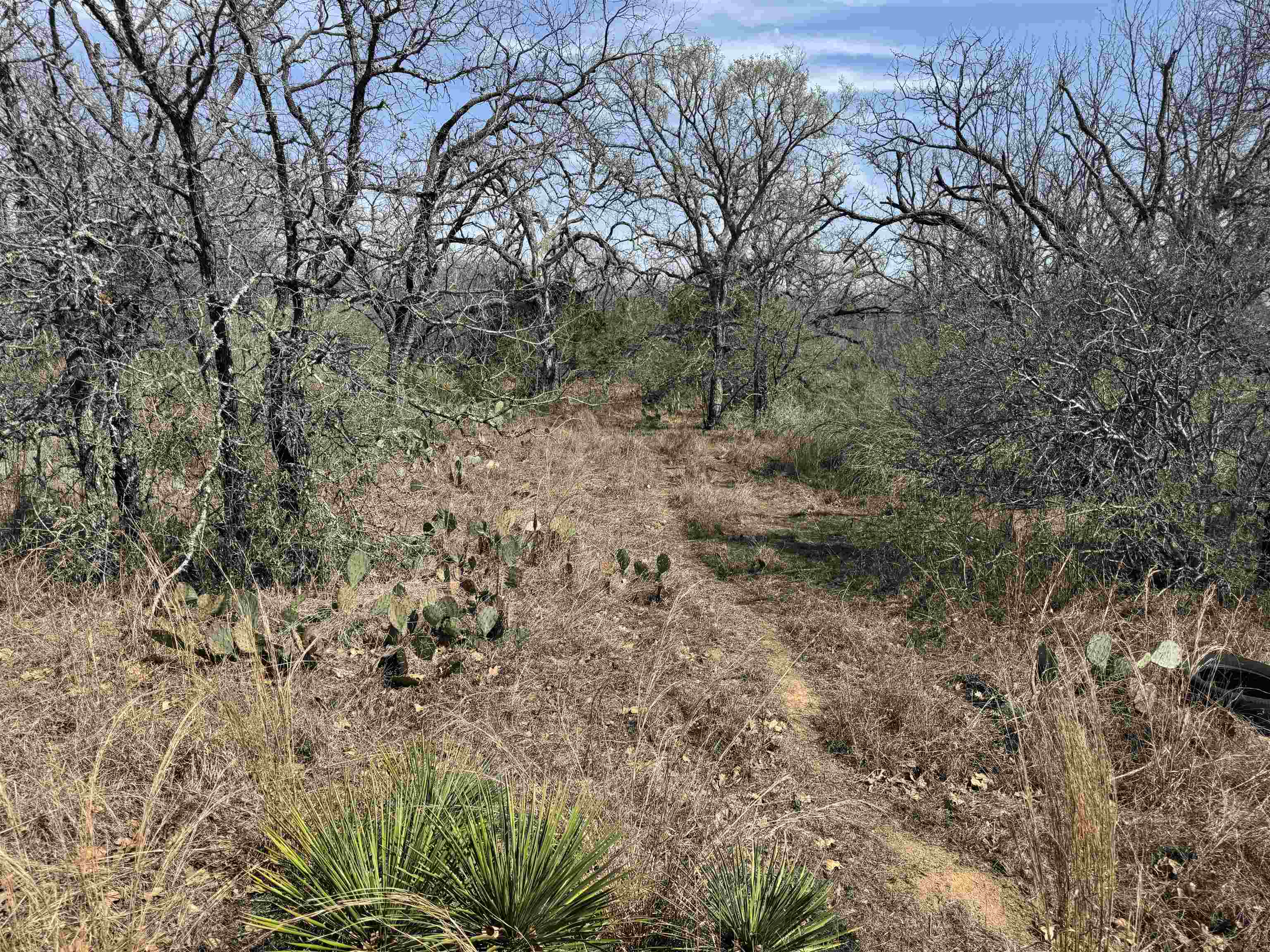 Lot 300-304 Link/pinemont Drive Property Photo 2