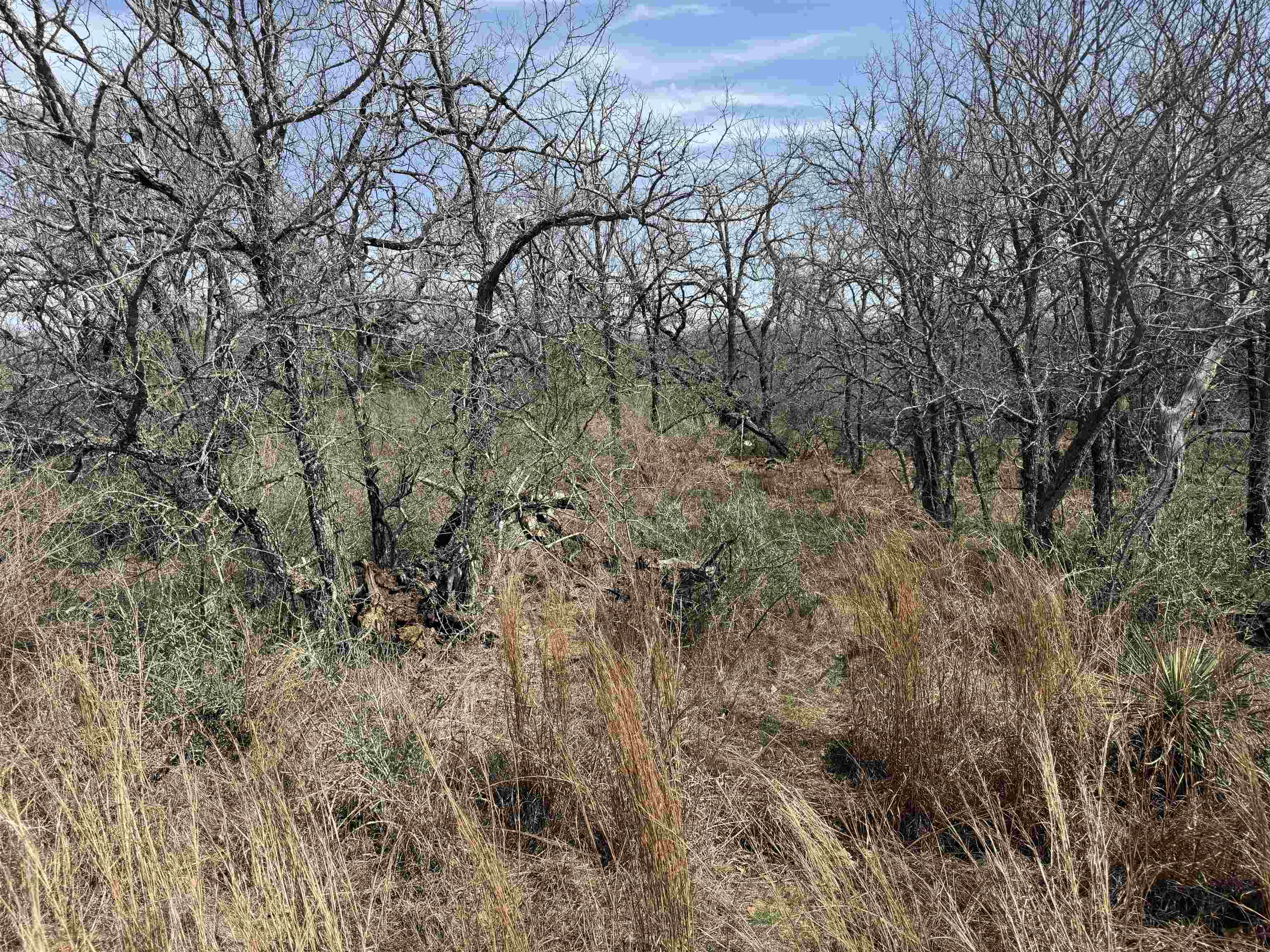 Lot 300-304 Link/pinemont Drive Property Photo 3