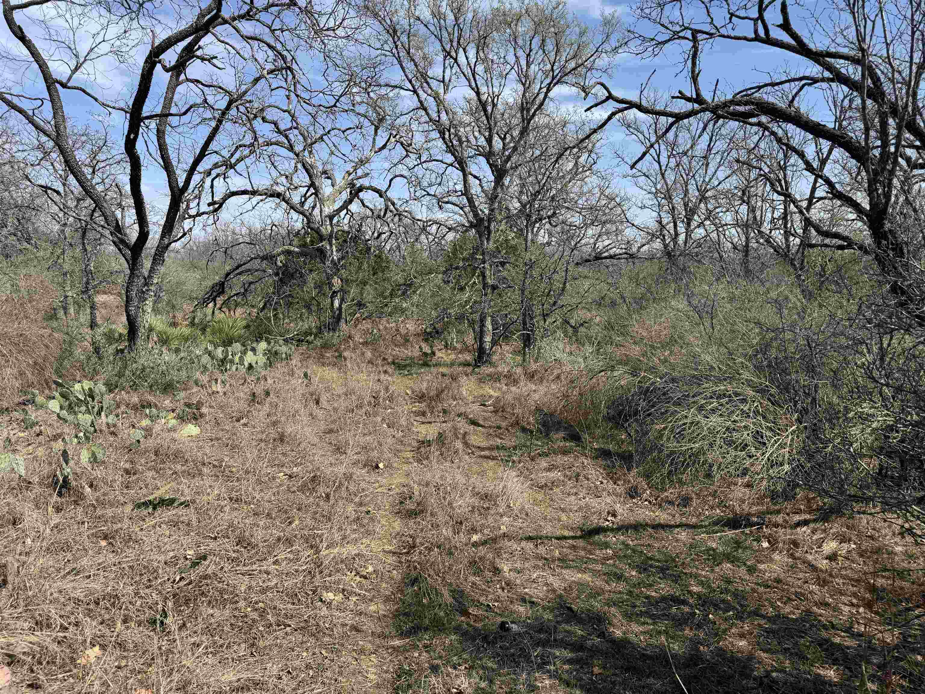 Lot 300-304 Link/pinemont Drive Property Photo 4