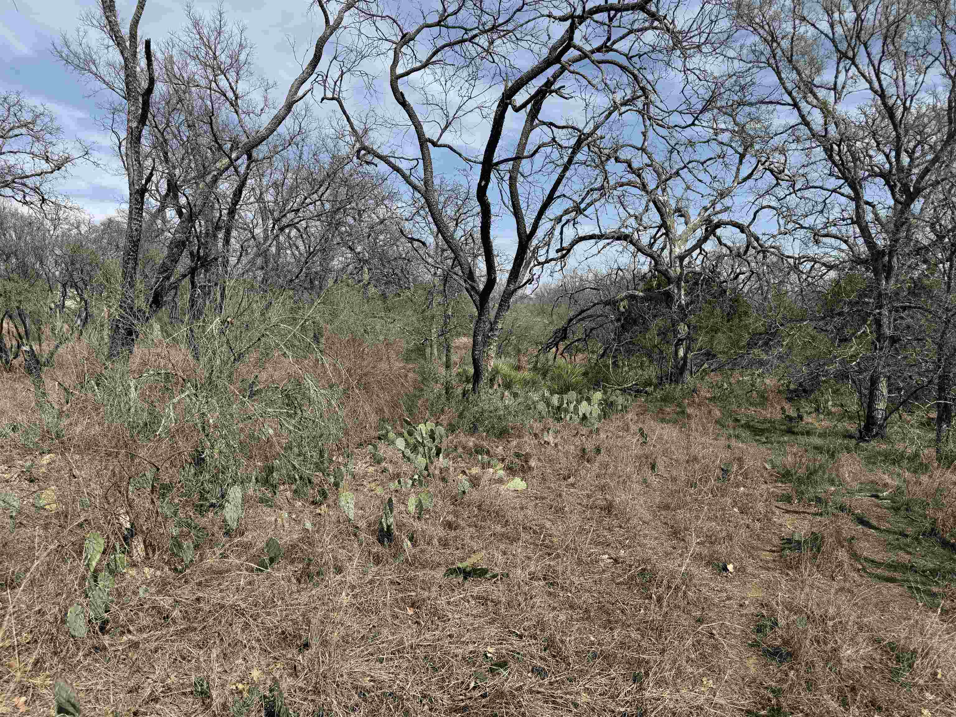 Lot 300-304 Link/pinemont Drive Property Photo 5