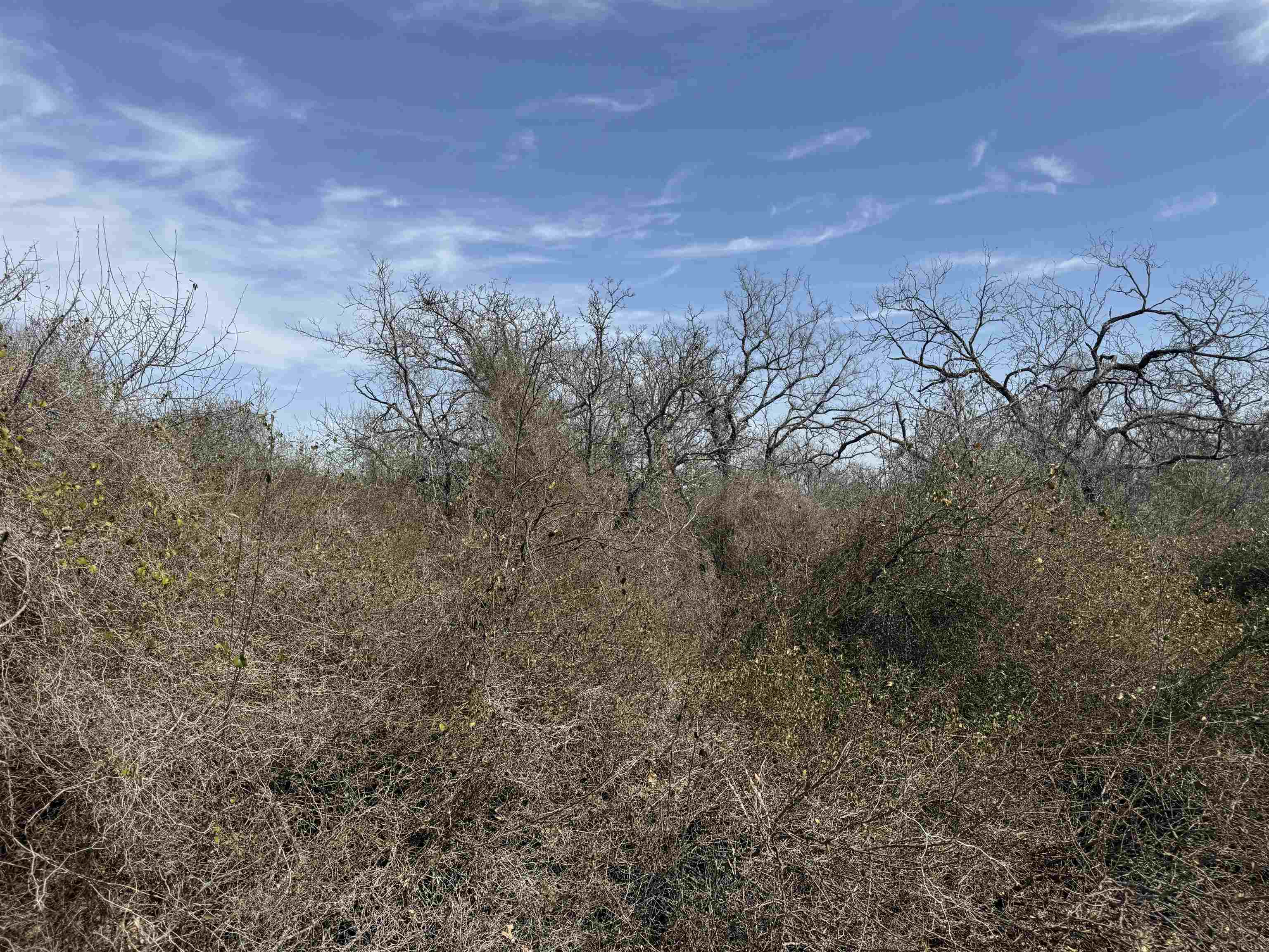 Lot 275-282 Aspermont Drive Property Photo 1