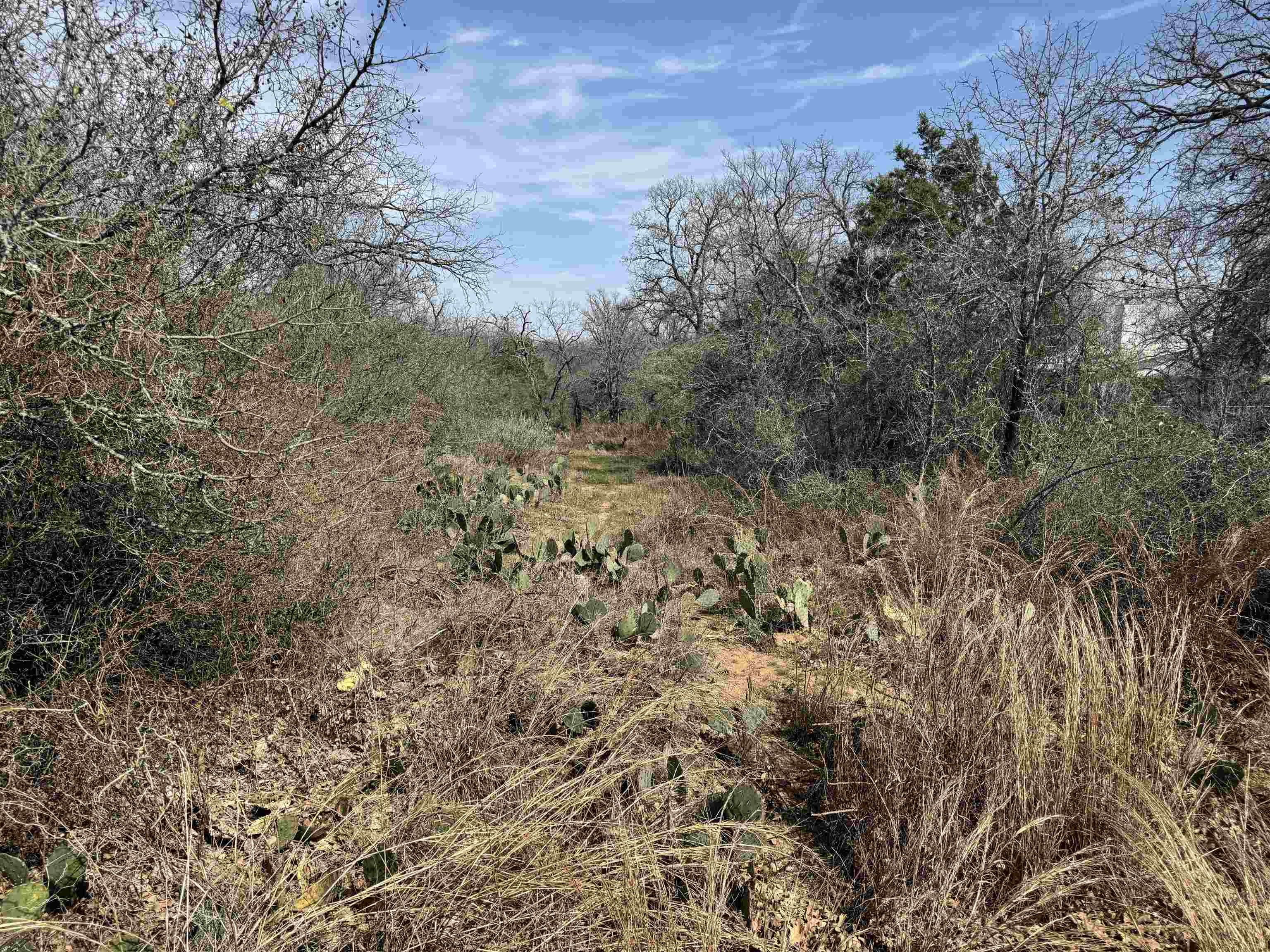 Lot 275-282 Aspermont Drive Property Photo 3