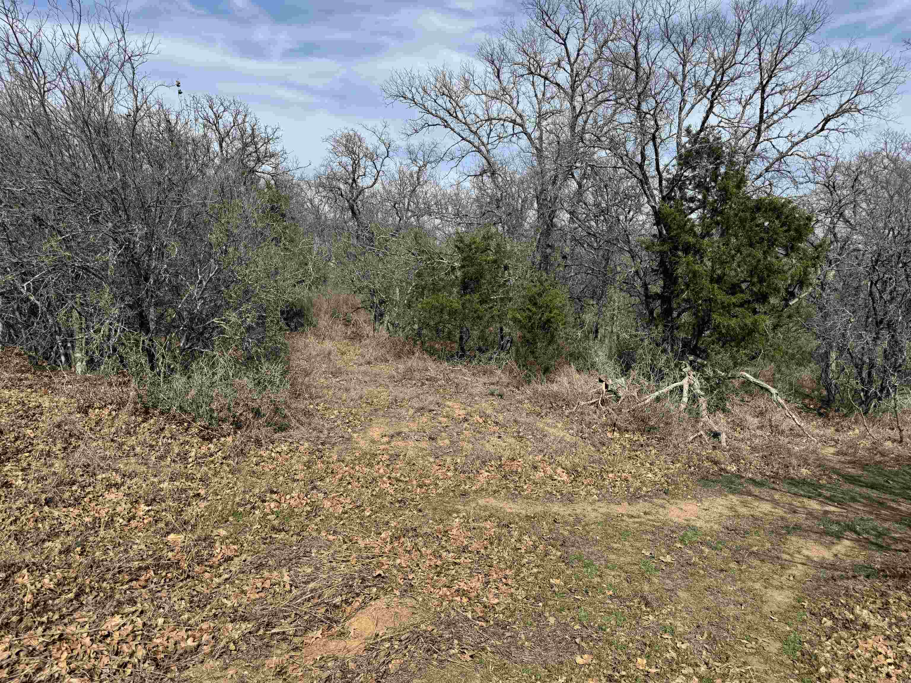 Lot 275-282 Aspermont Drive Property Photo 4