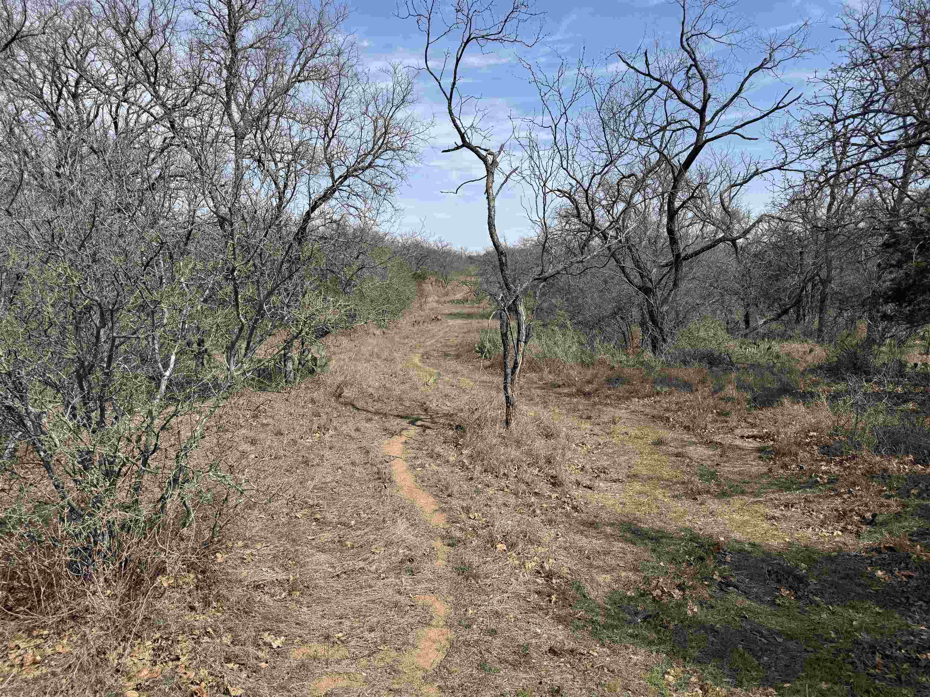 Lot 275-282 Aspermont Drive Property Photo 5