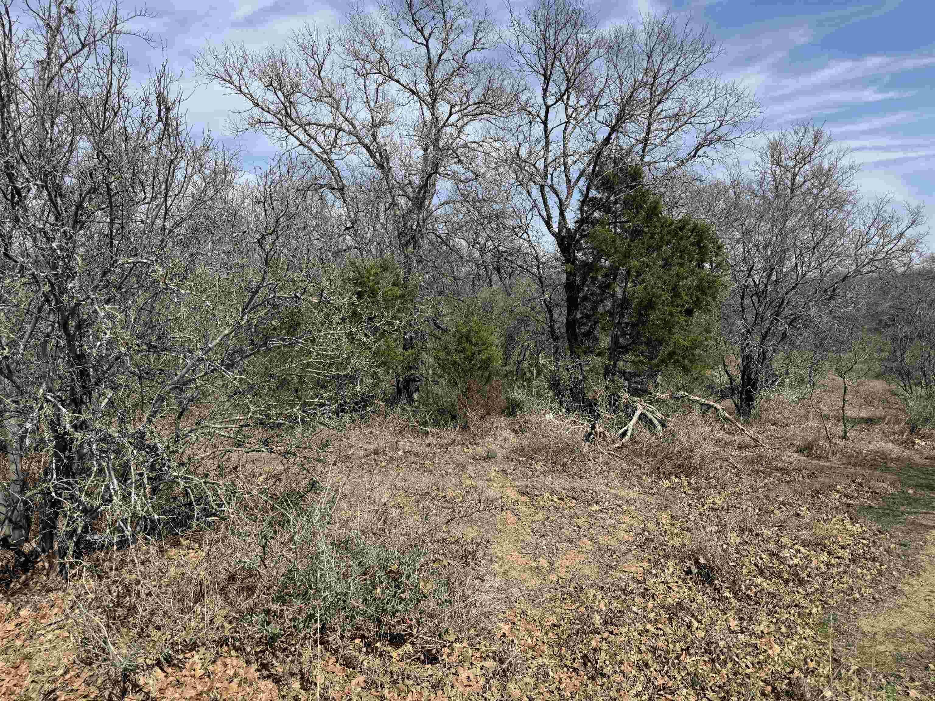 Lot 283-289 Aspermont Drive Property Photo 1
