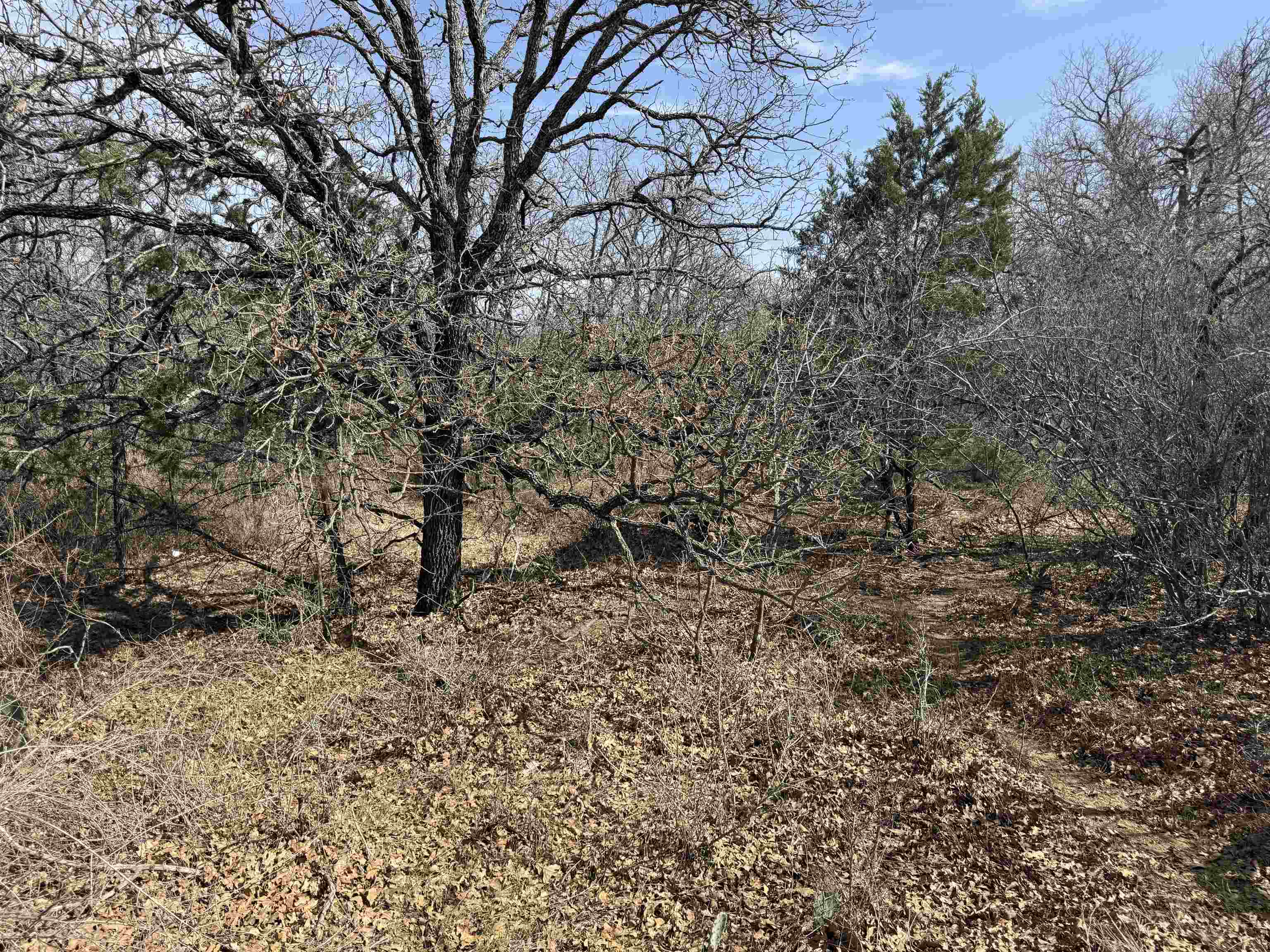 Lot 283-289 Aspermont Drive Property Photo 5