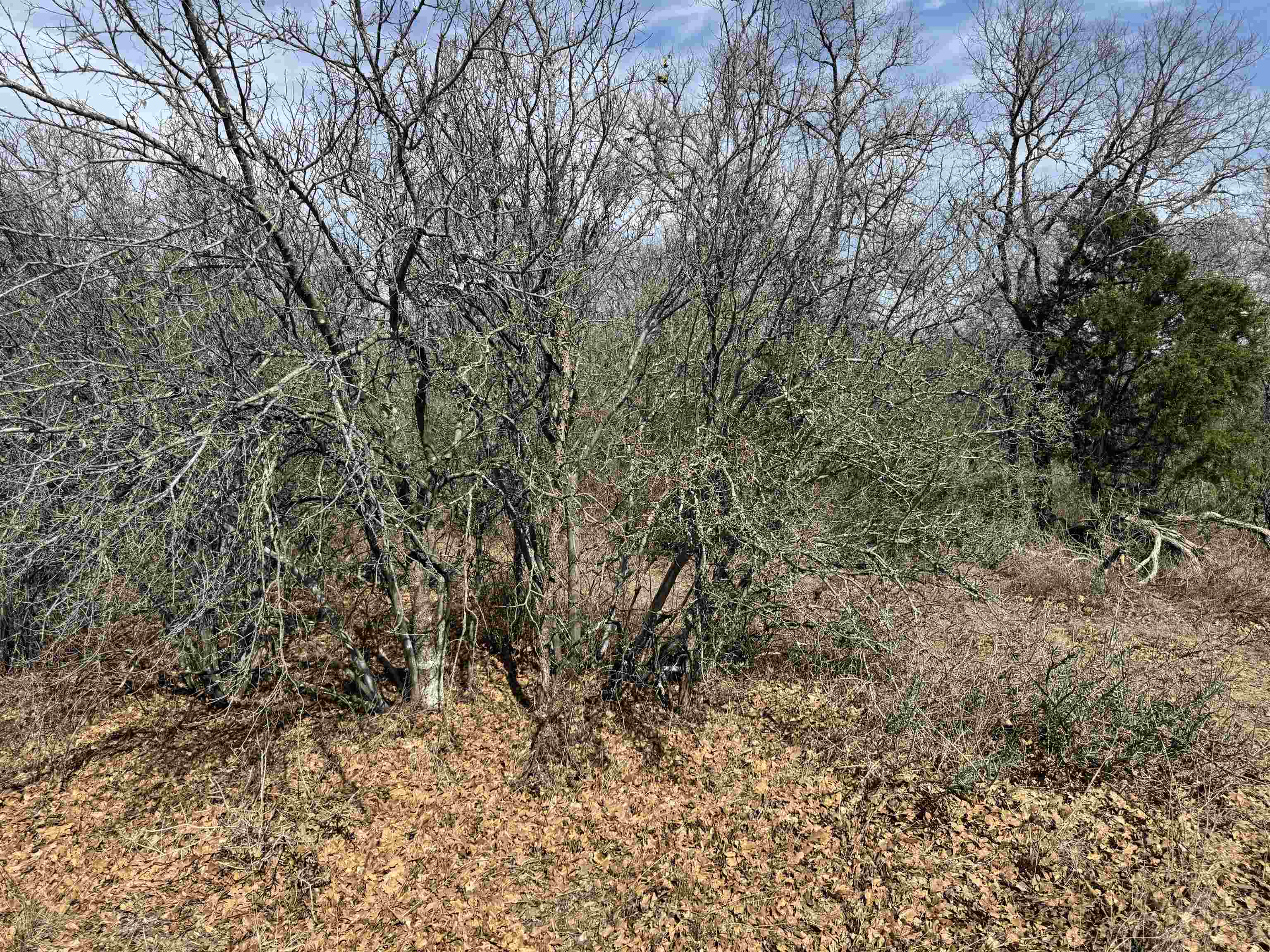 Lot 283-289 Aspermont Drive Property Photo 6