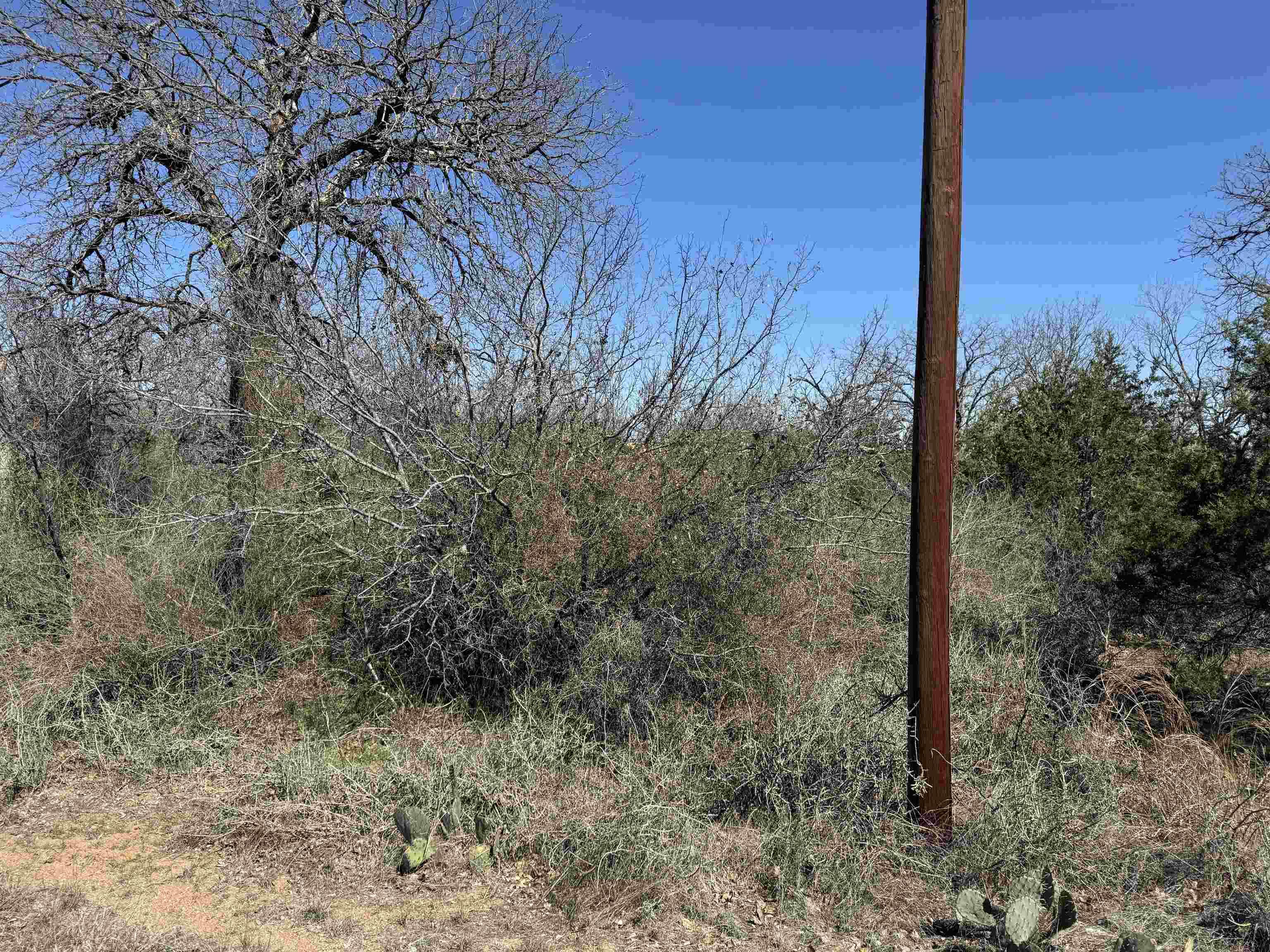 Lot 43 Link Drive Property Photo 2