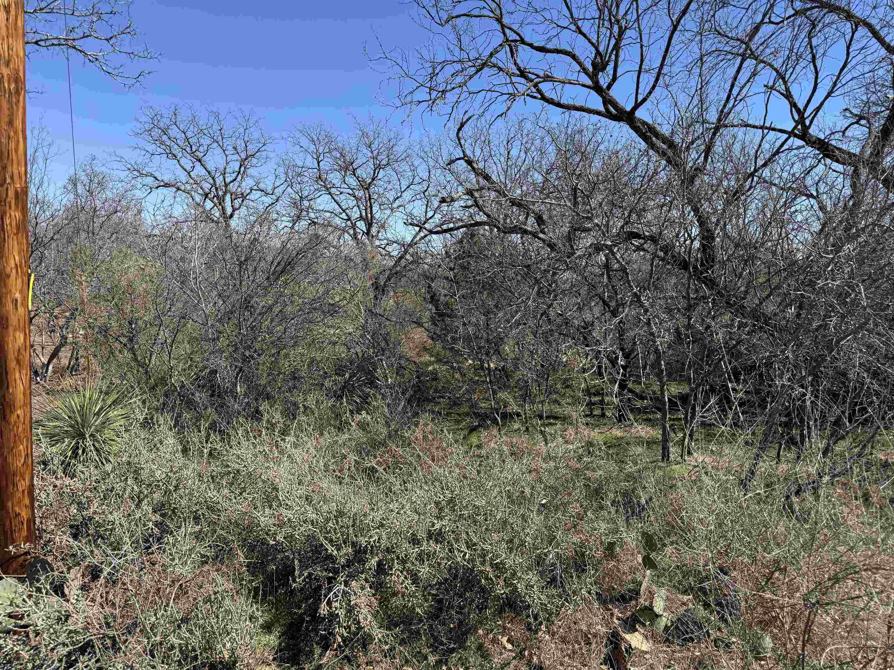 Lot 43 Link Drive Property Photo 4