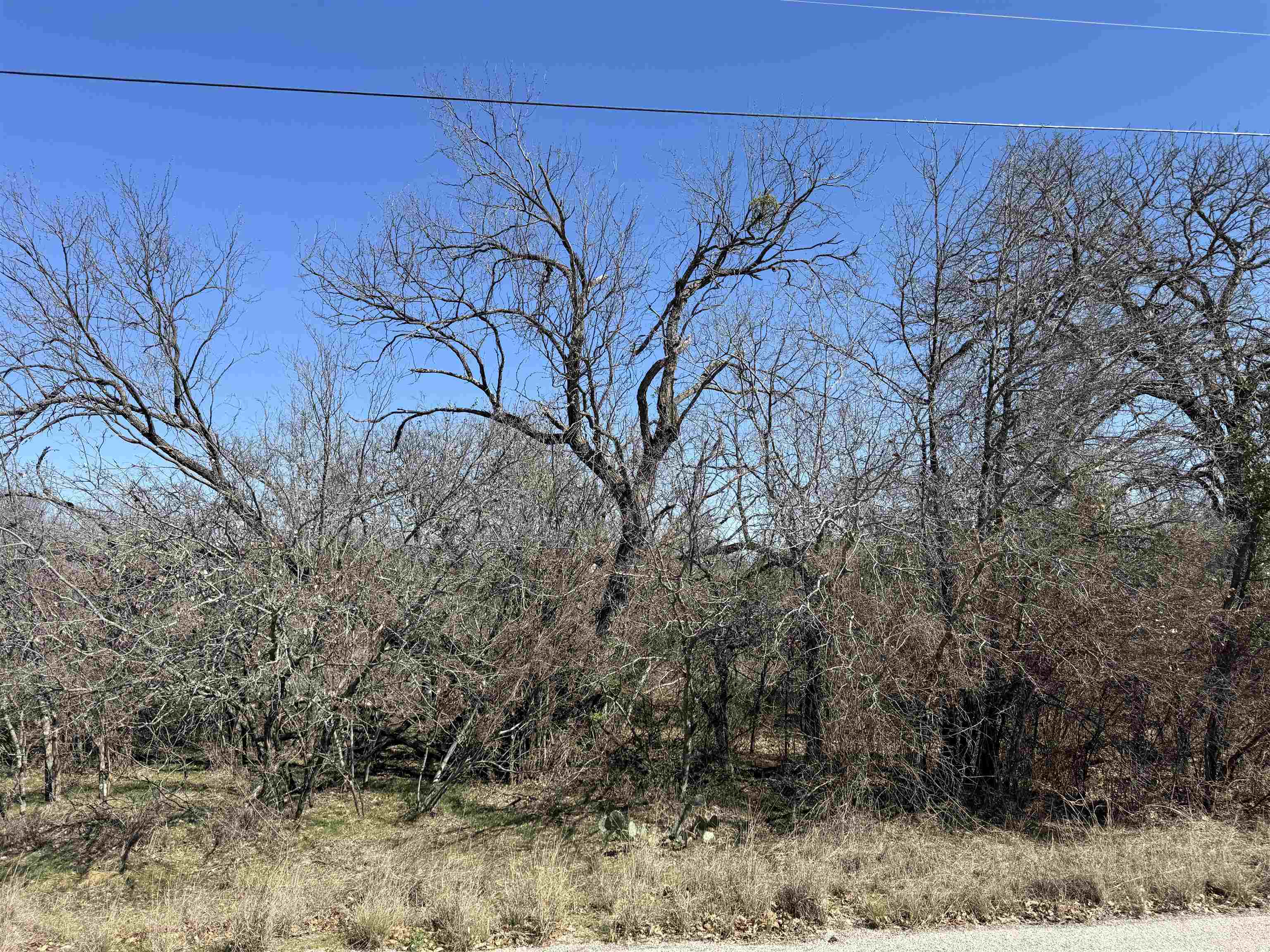 Lot 43 Link Drive Property Photo 6
