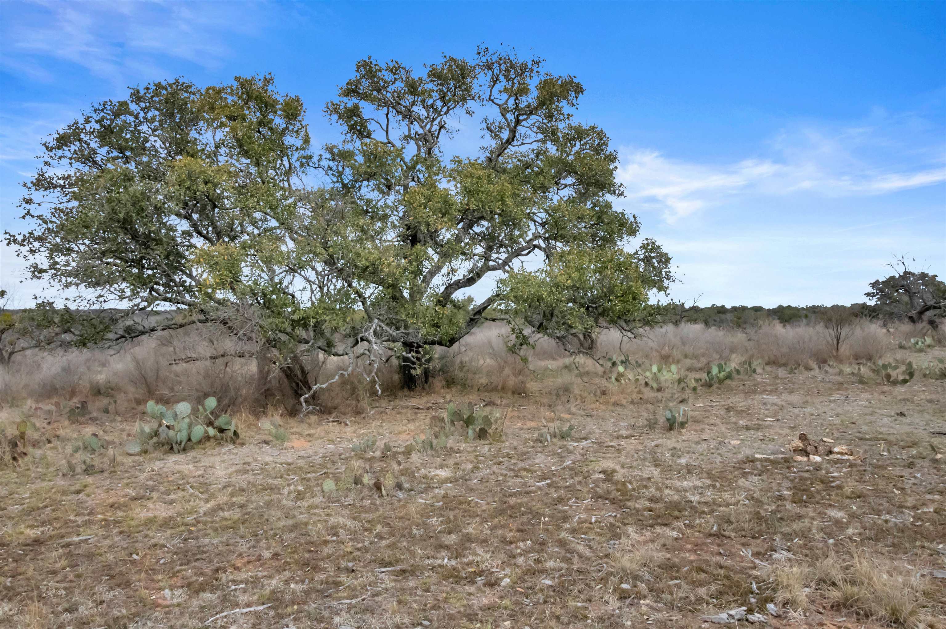 Tbd Hickory Creek Ranch Road Property Photo 8