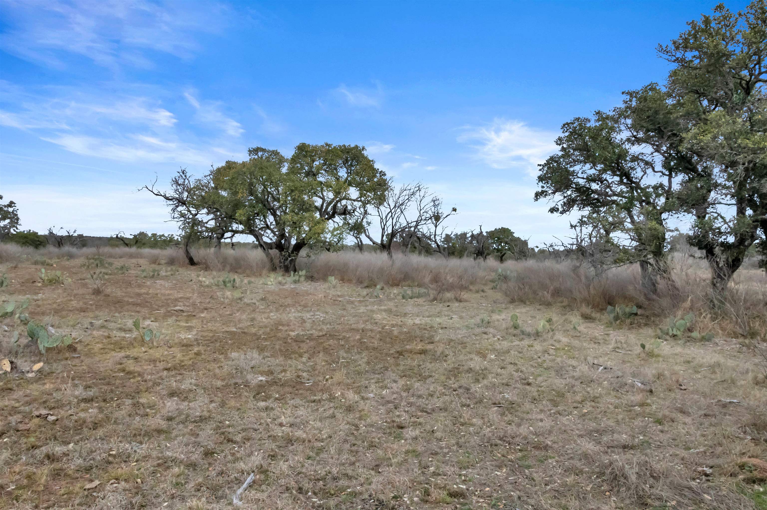 Tbd Hickory Creek Ranch Road Property Photo 10