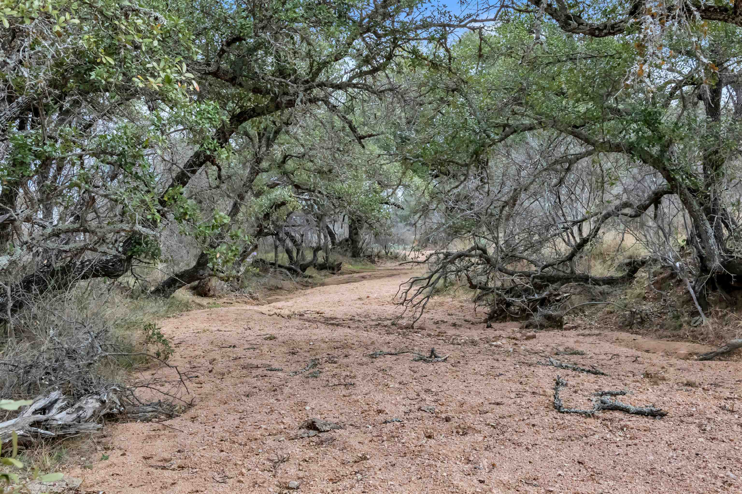 Tbd Hickory Creek Ranch Road Property Photo 13