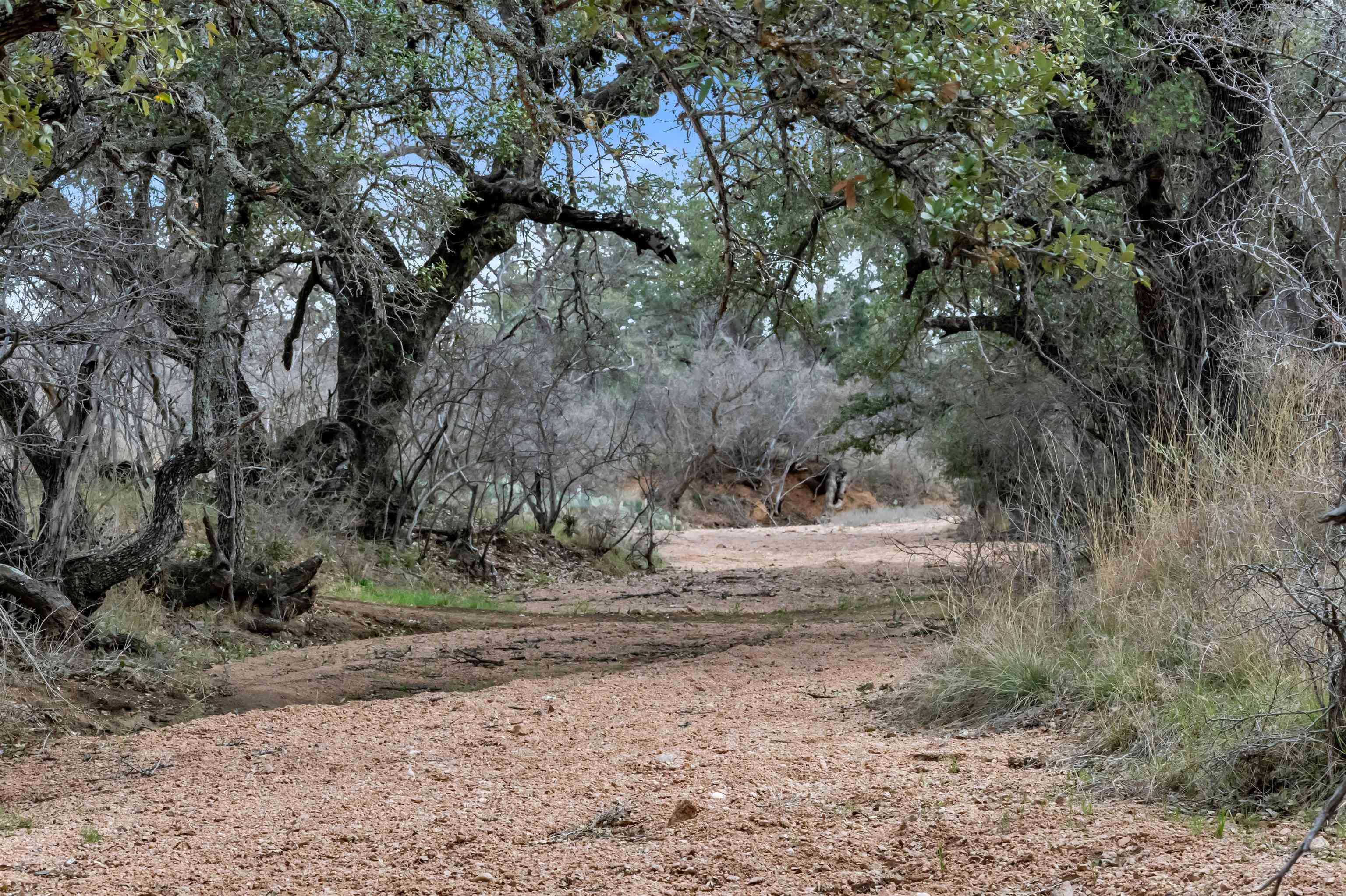 Tbd Hickory Creek Ranch Road Property Photo 14