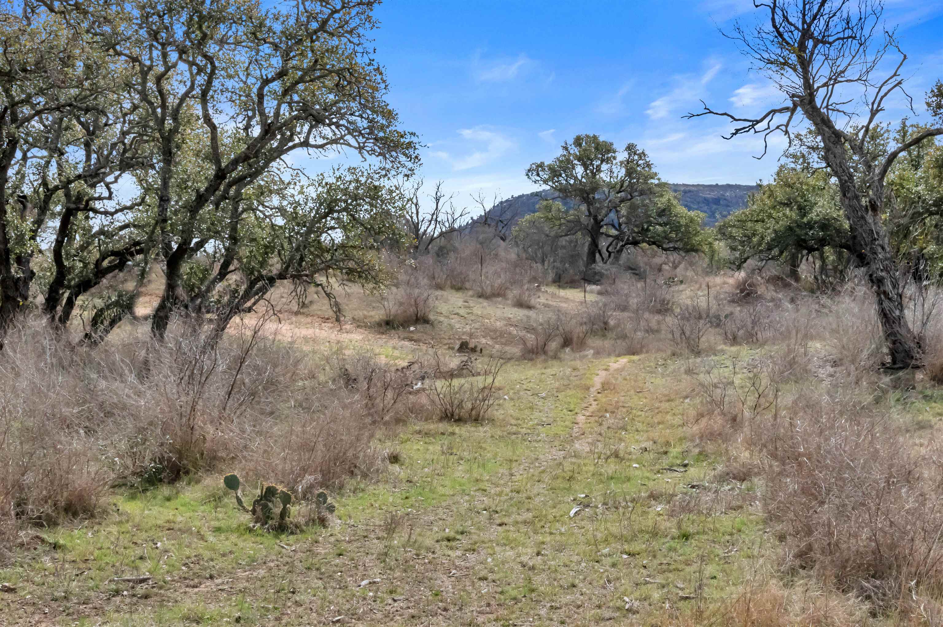 Tbd Hickory Creek Ranch Road Property Photo 19