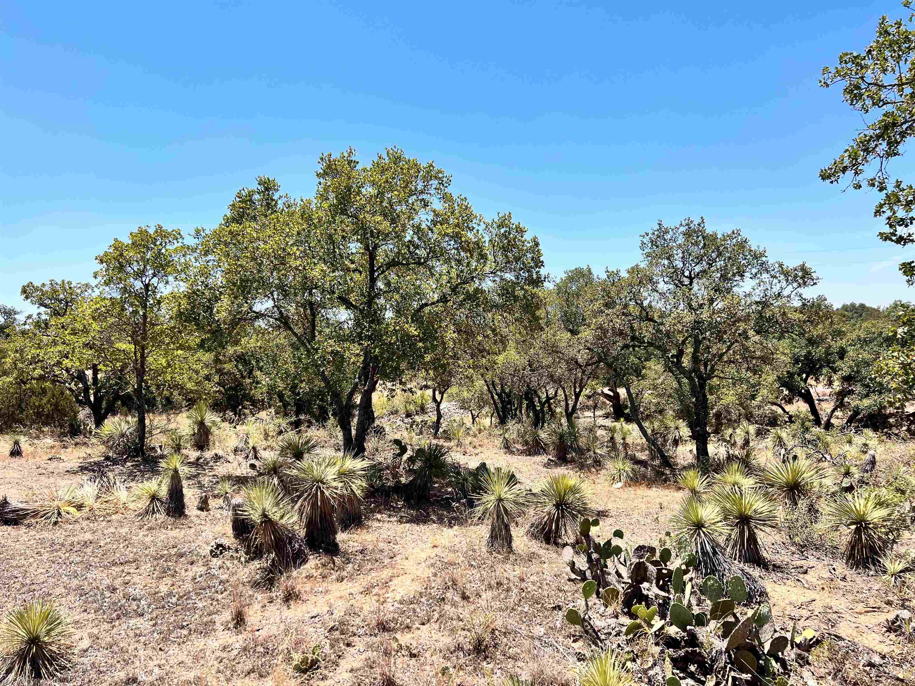 Lot 320 Tbd W. Castlebriar Drive Property Photo