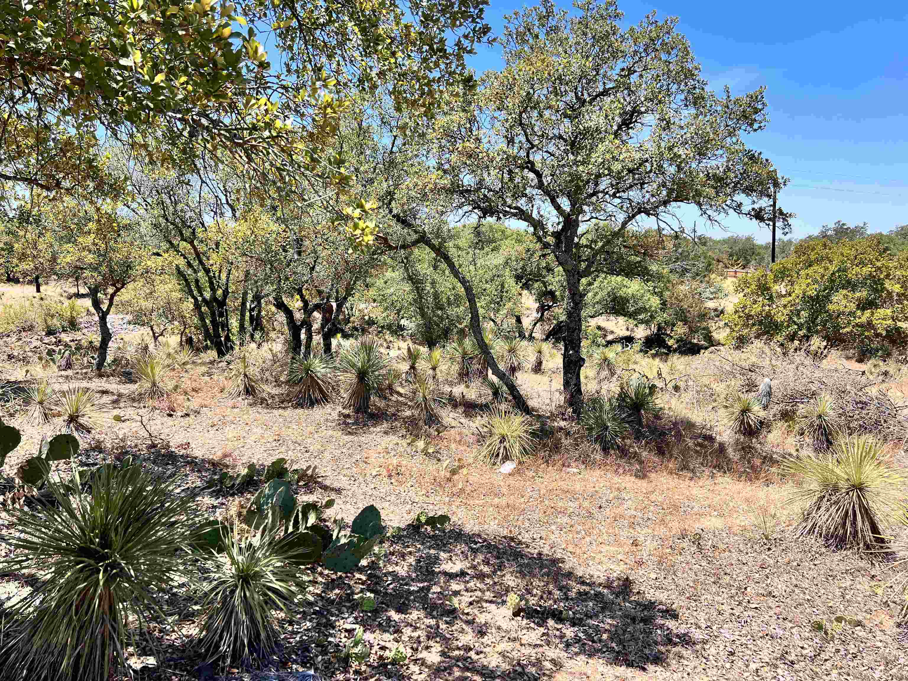 Lot 323 Tbd W. Castlebriar Drive Property Photo 2