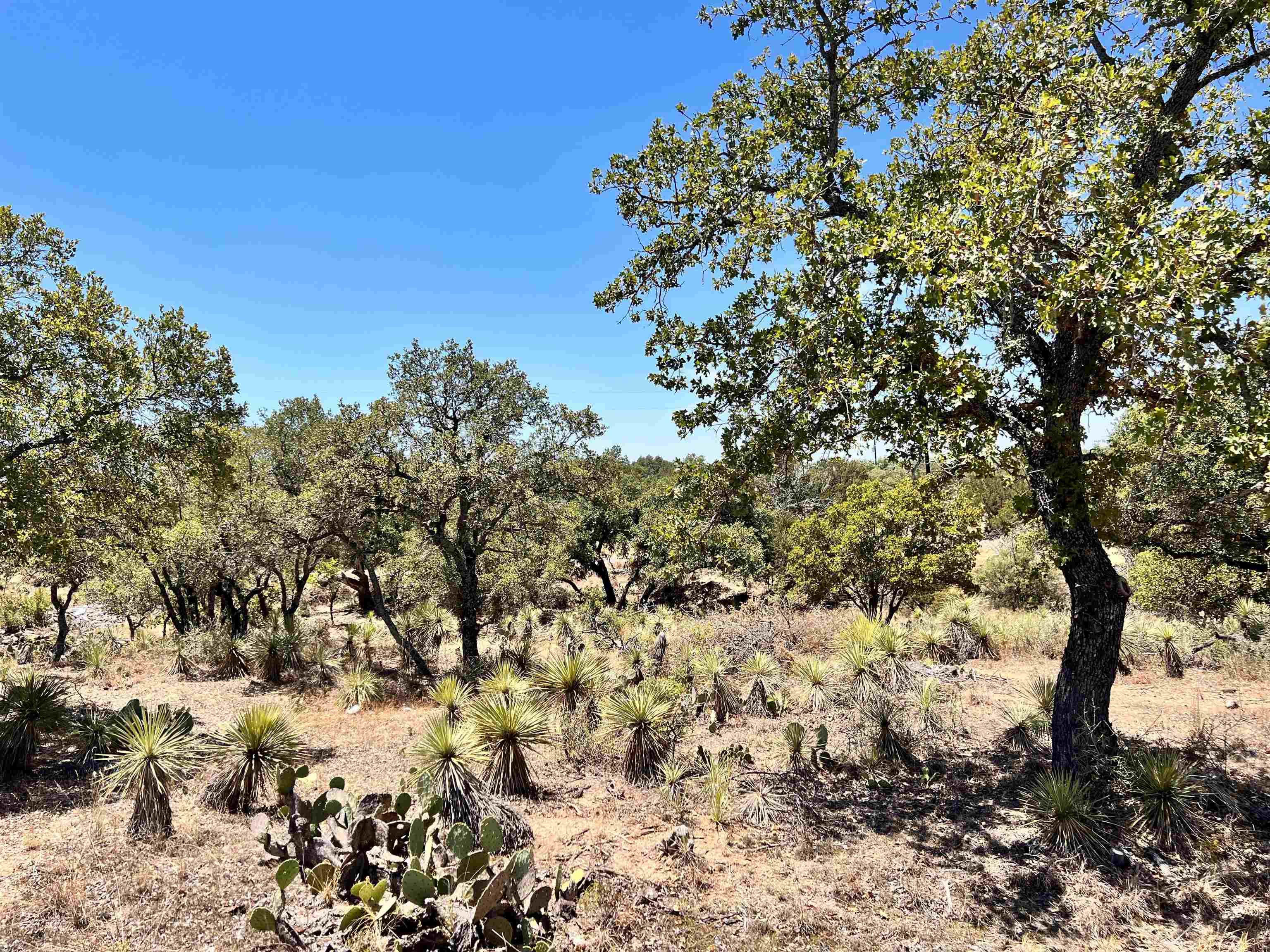 Lot 323 Tbd W. Castlebriar Drive Property Photo 8