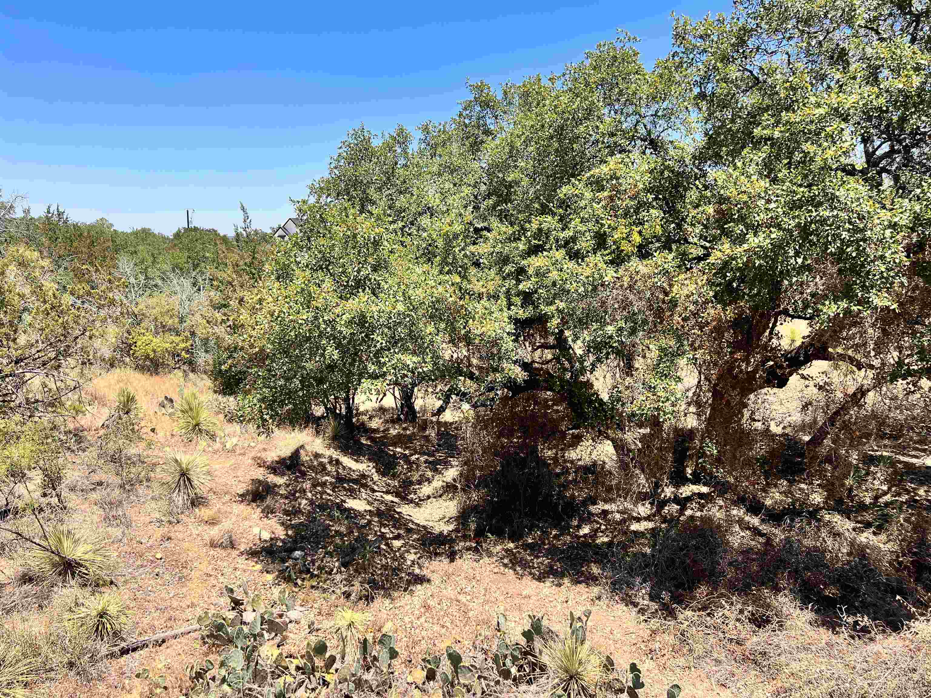 Lot 323 Tbd W. Castlebriar Drive Property Photo 9