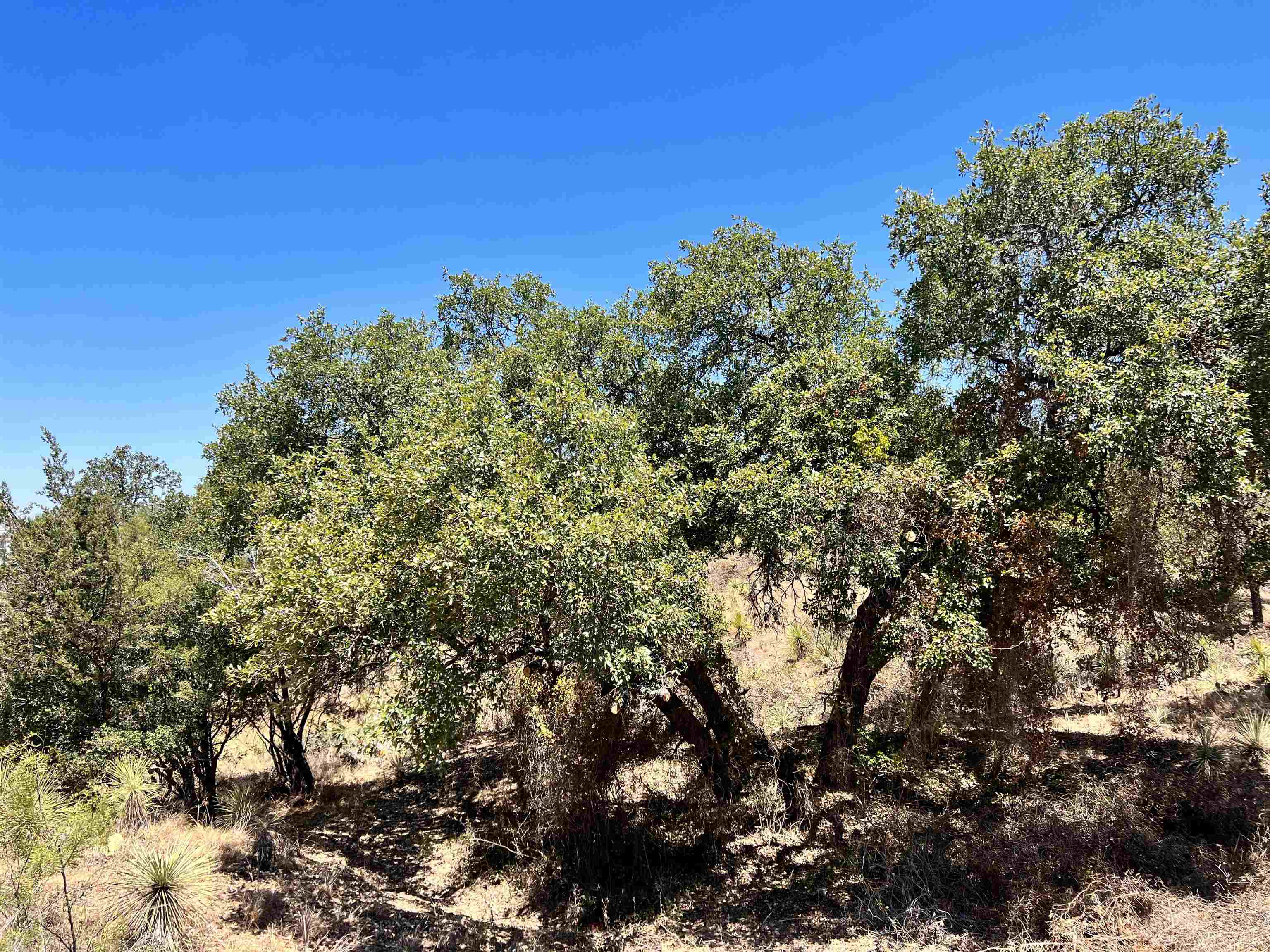 Lot 323 Tbd W. Castlebriar Drive Property Photo 10