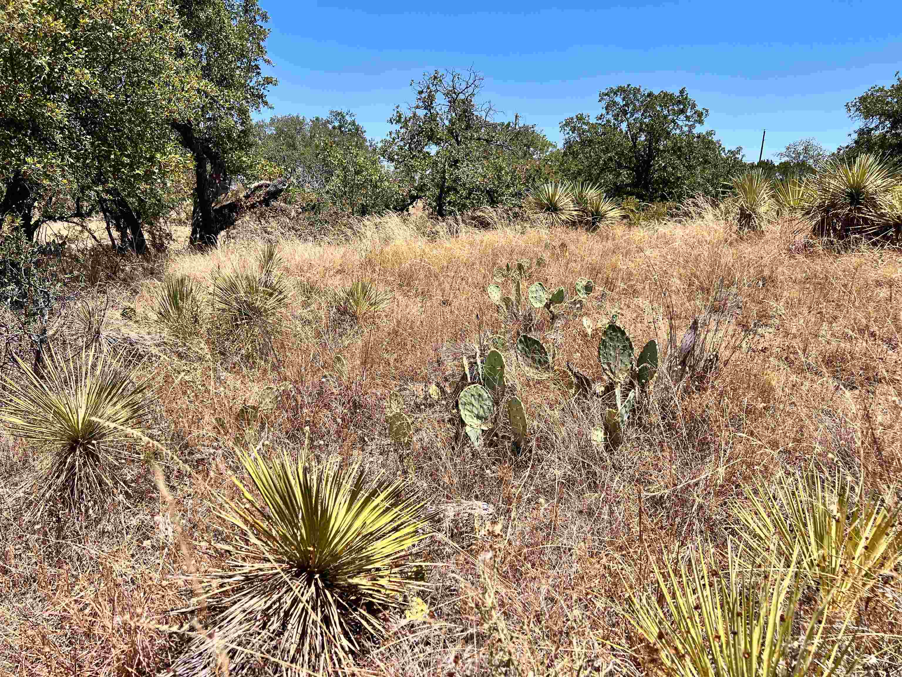 Lot 323 Tbd W. Castlebriar Drive Property Photo 11