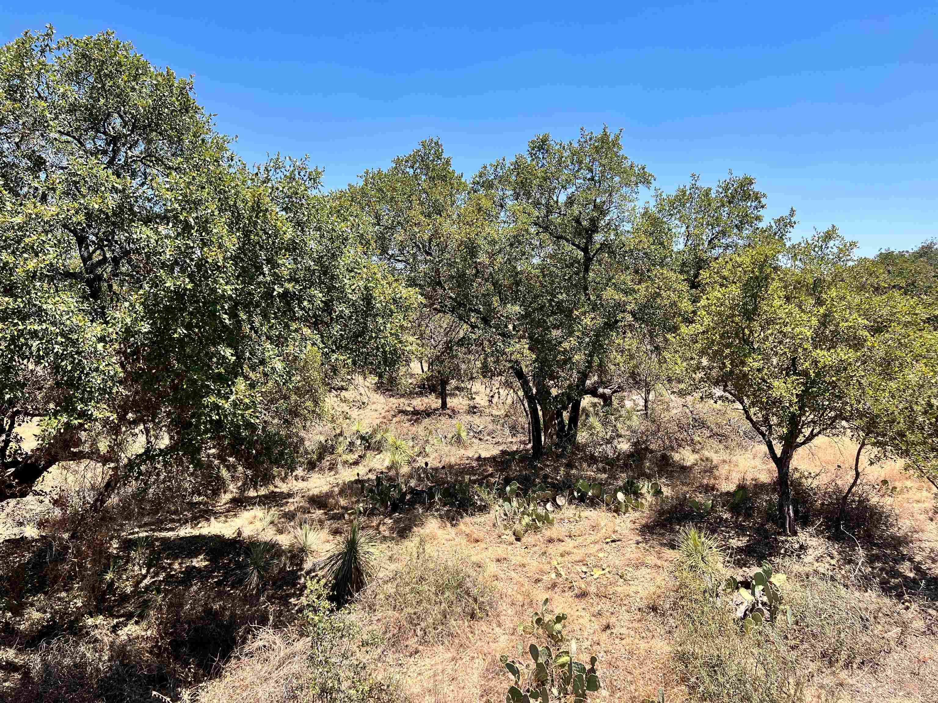 Lot 323 Tbd W. Castlebriar Drive Property Photo 15