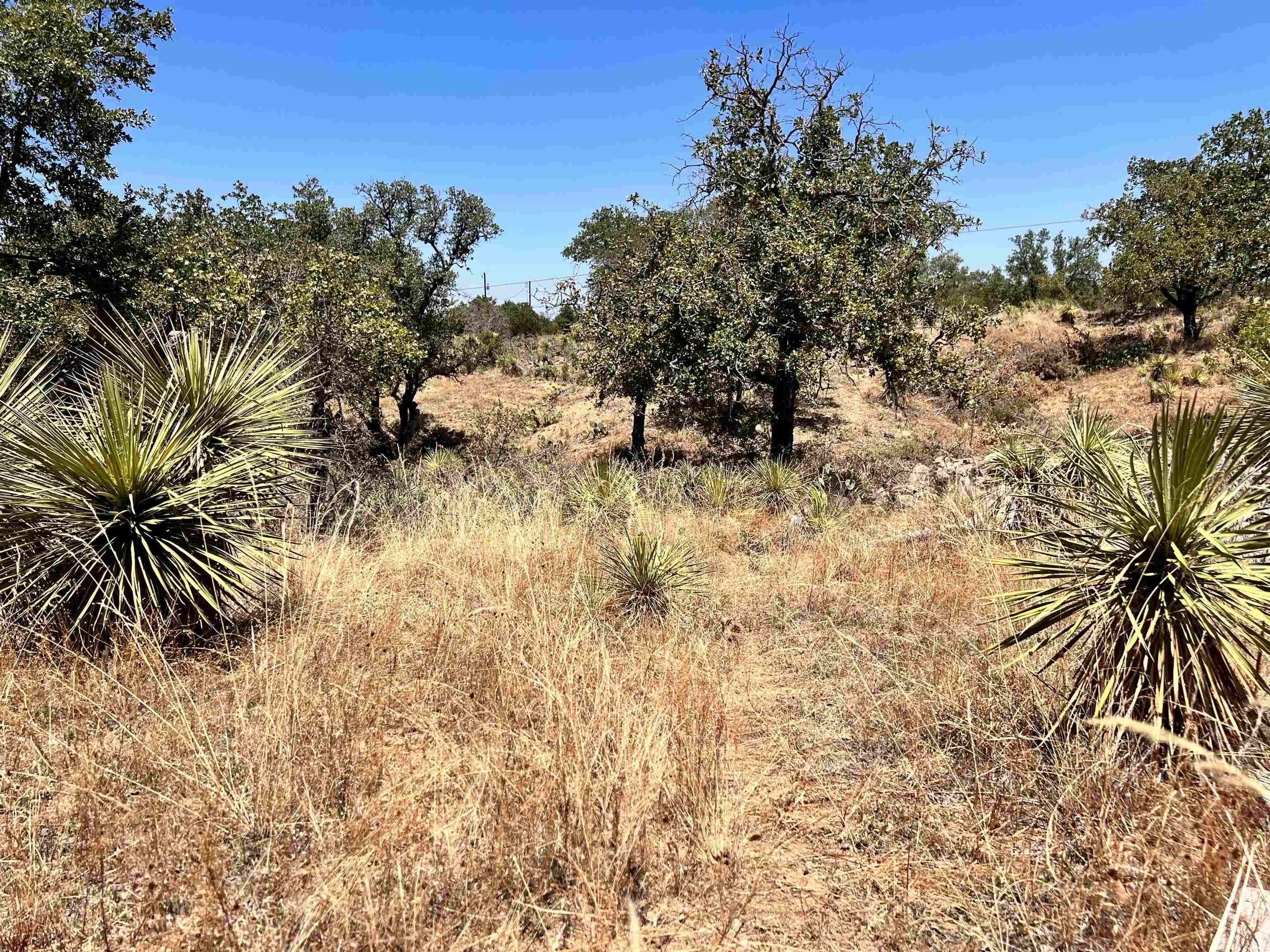 Lot 323 Tbd W. Castlebriar Drive Property Photo 16