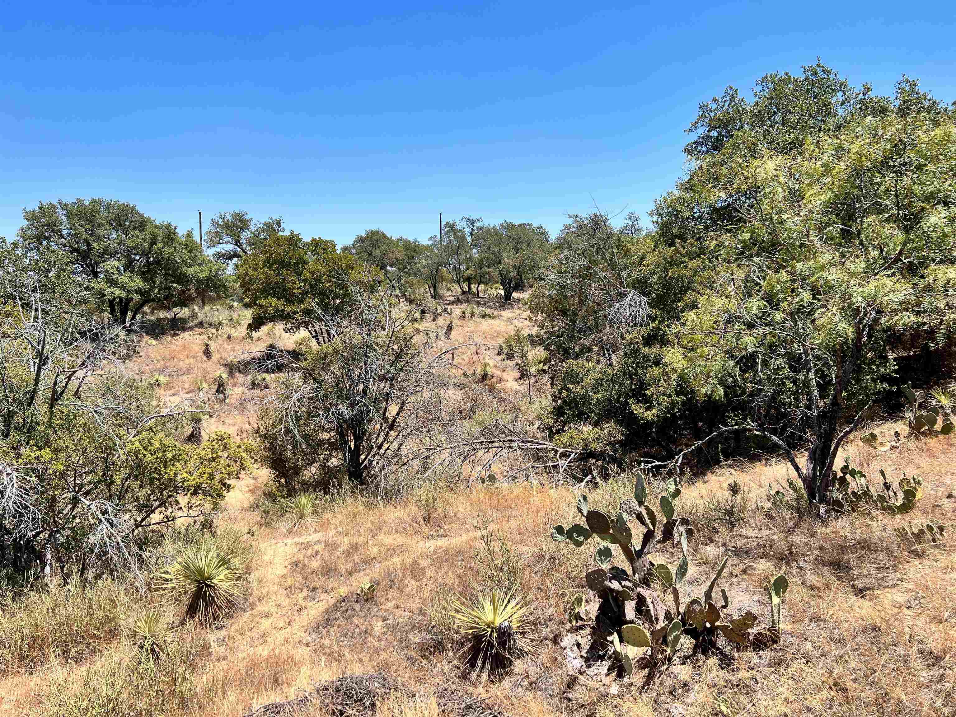 Lot 323 Tbd W. Castlebriar Drive Property Photo 17