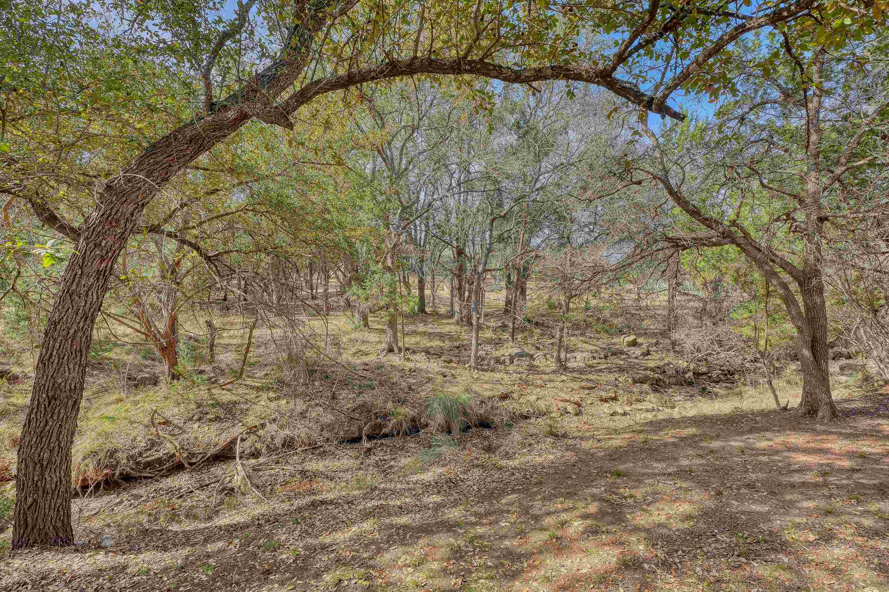 311 Deer Hollow Dr Property Photo 29