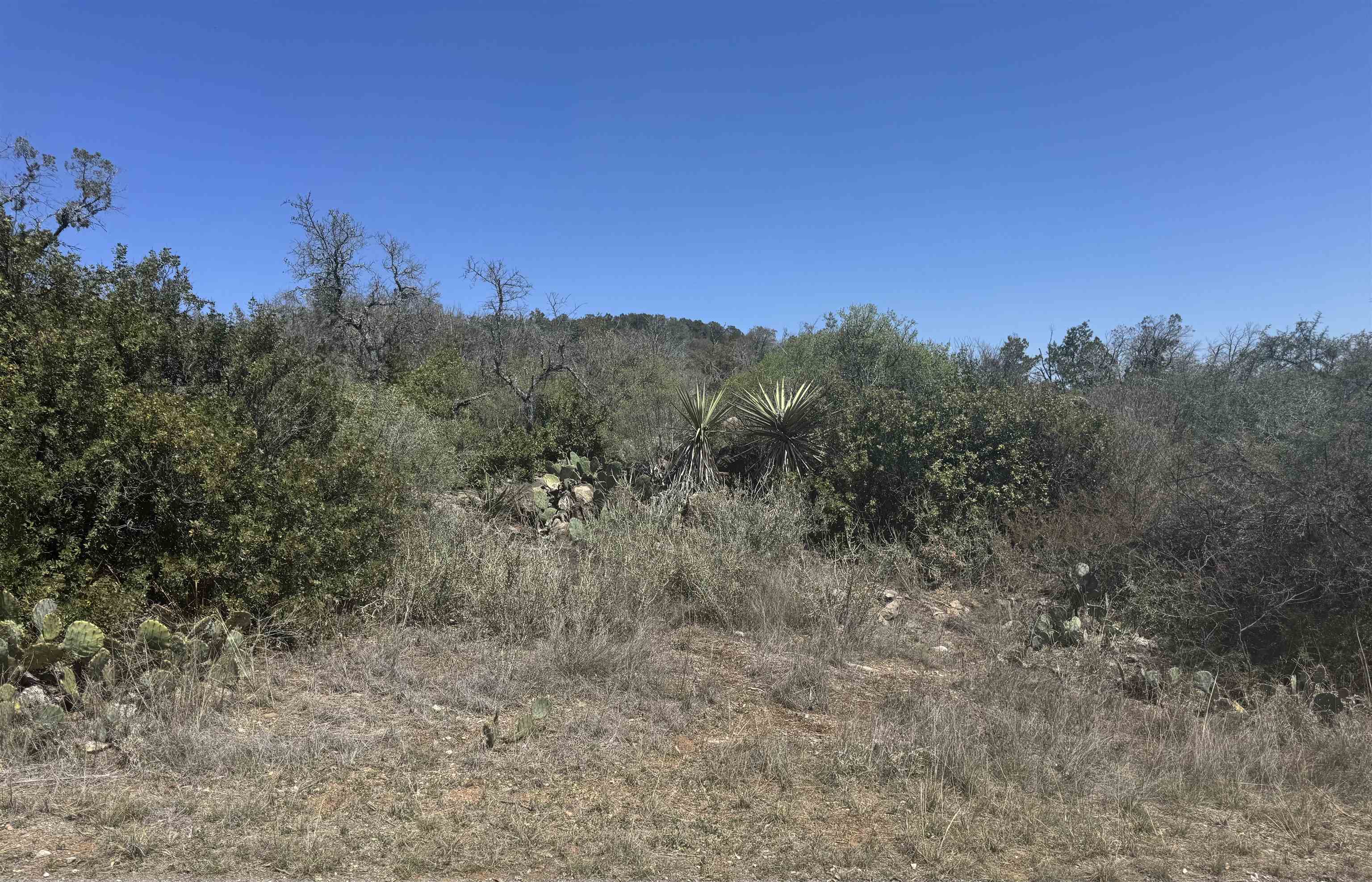 Lot 56 War Bonnet Ridge Property Photo 4