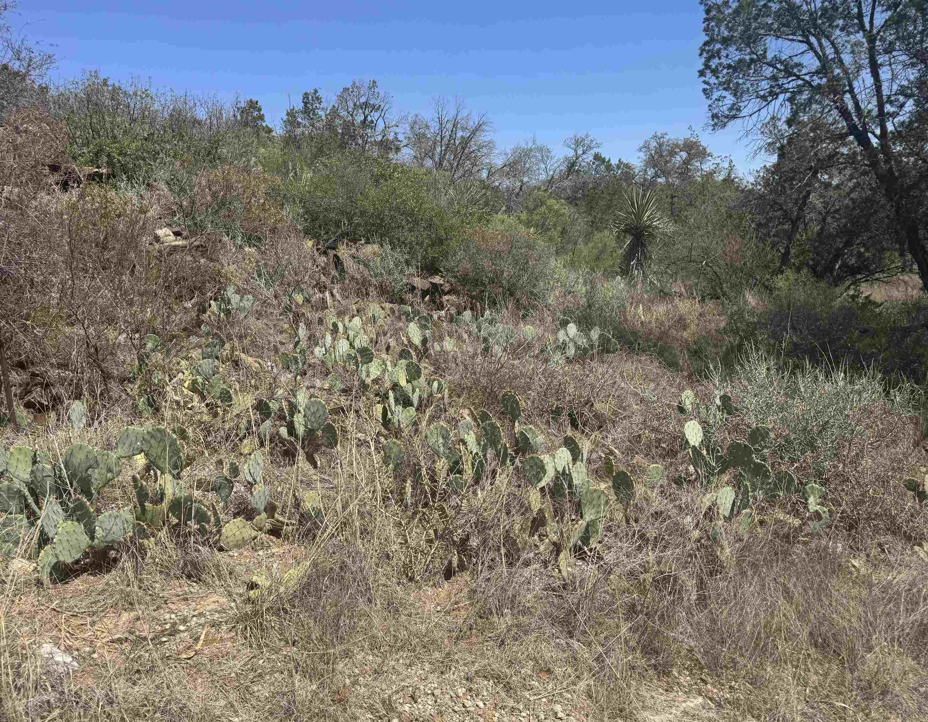 Lot 56 War Bonnet Ridge Property Photo 5