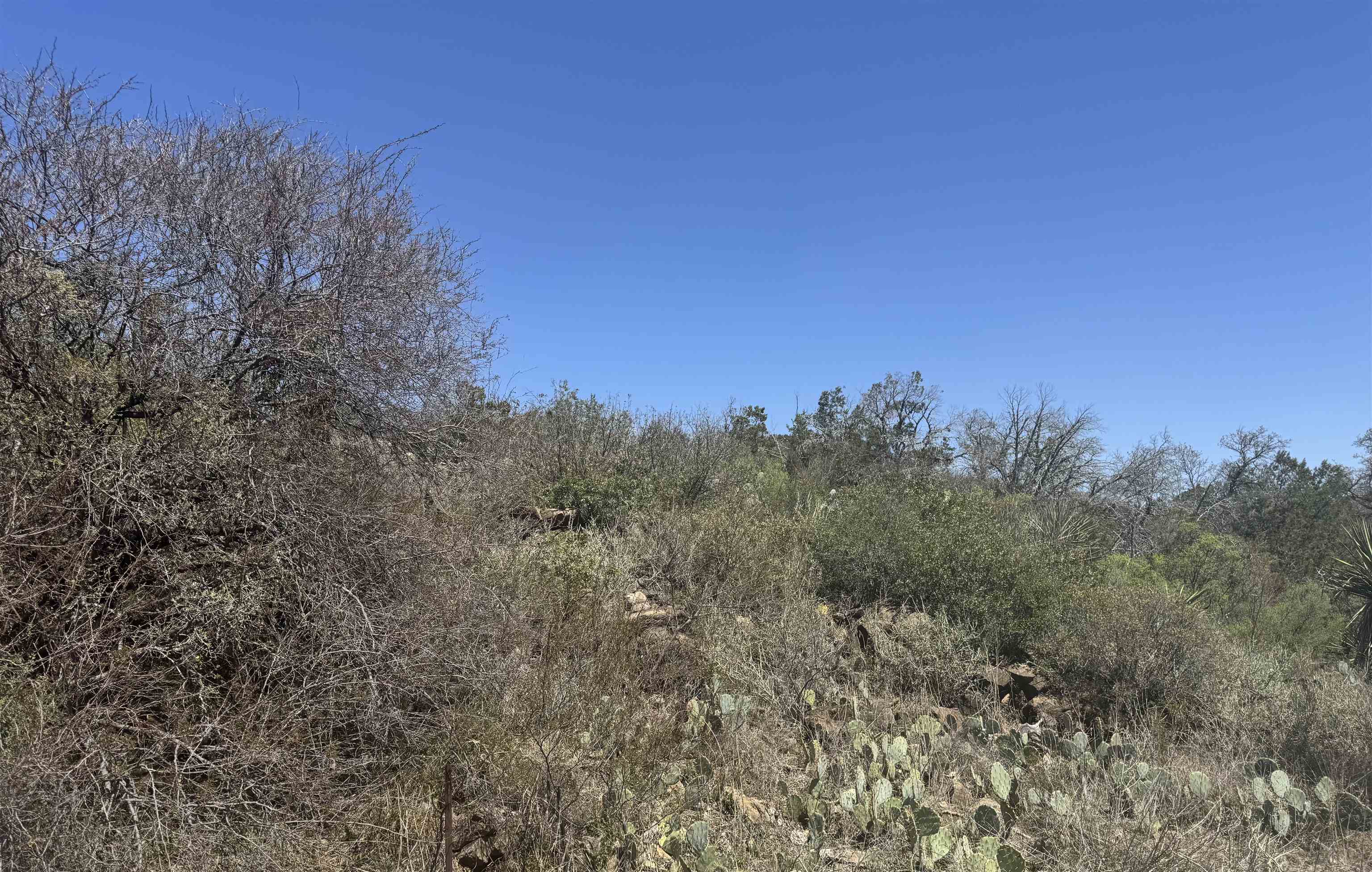 Lot 56 War Bonnet Ridge Property Photo 6