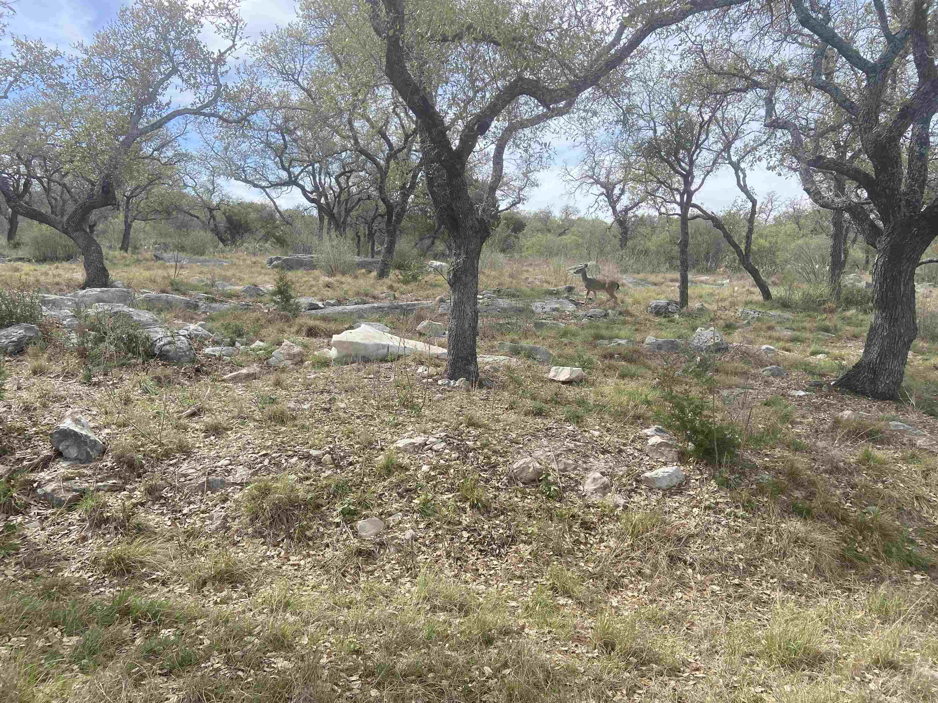 44033 Twin Sails Property Photo 5