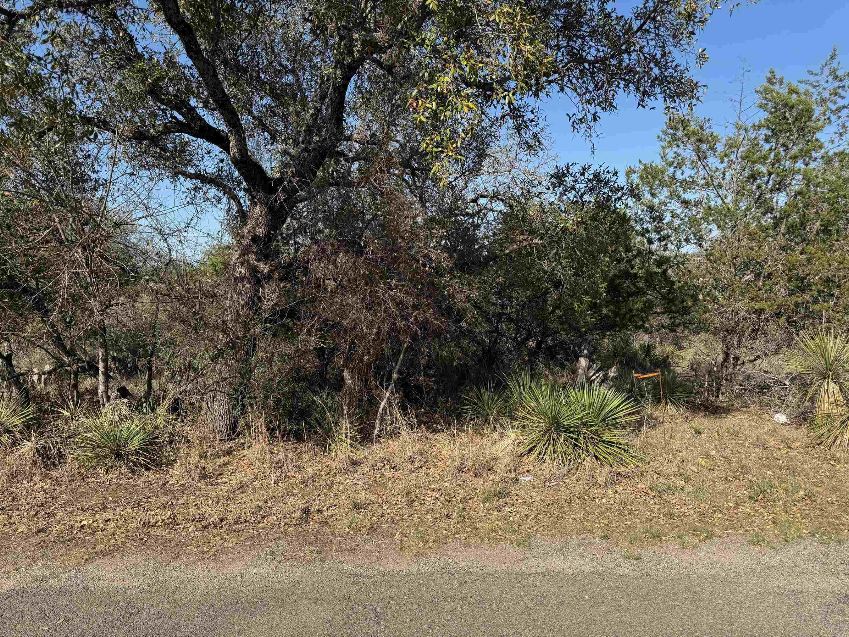 Tbd W Briarway Drive Property Photo