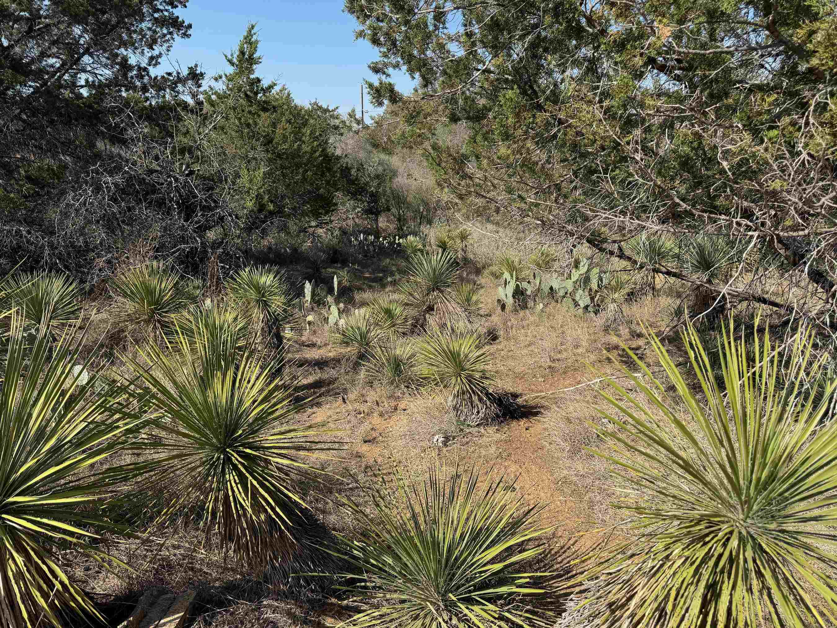 Tbd W Castleshoals Drive Property Photo