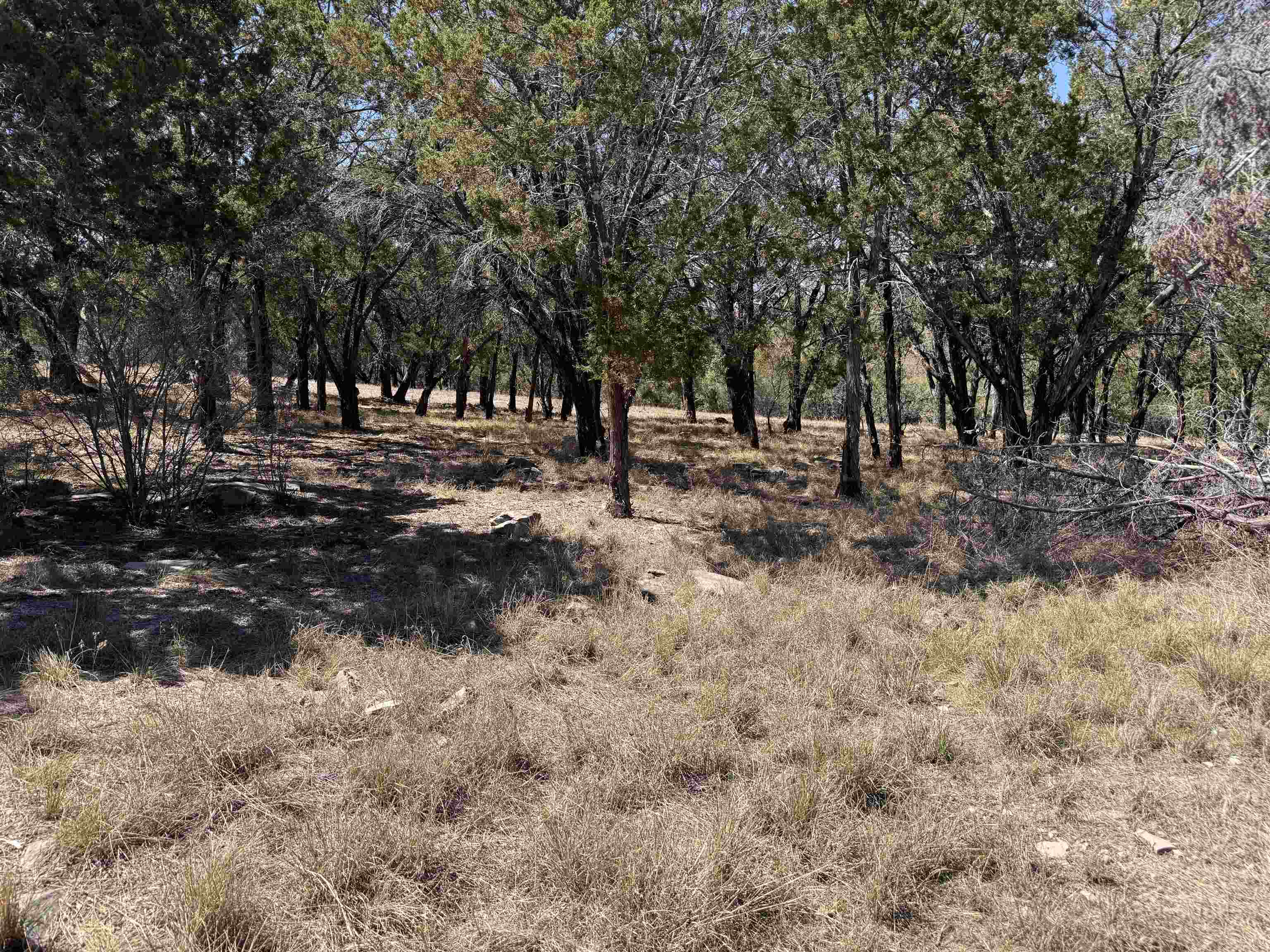 Lt K15042 Lone Star Property Photo 5