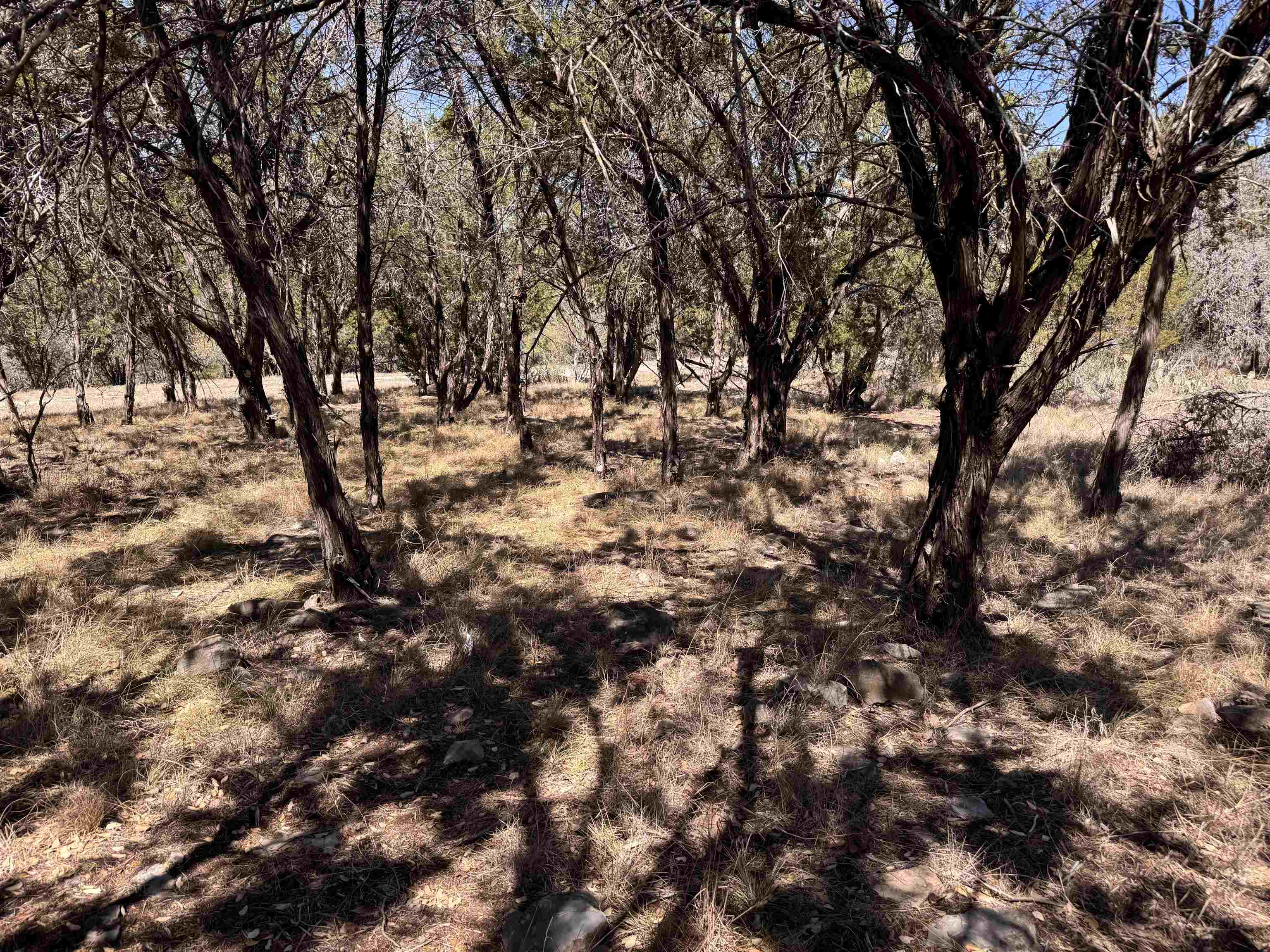 Lt K15042 Lone Star Property Photo 7