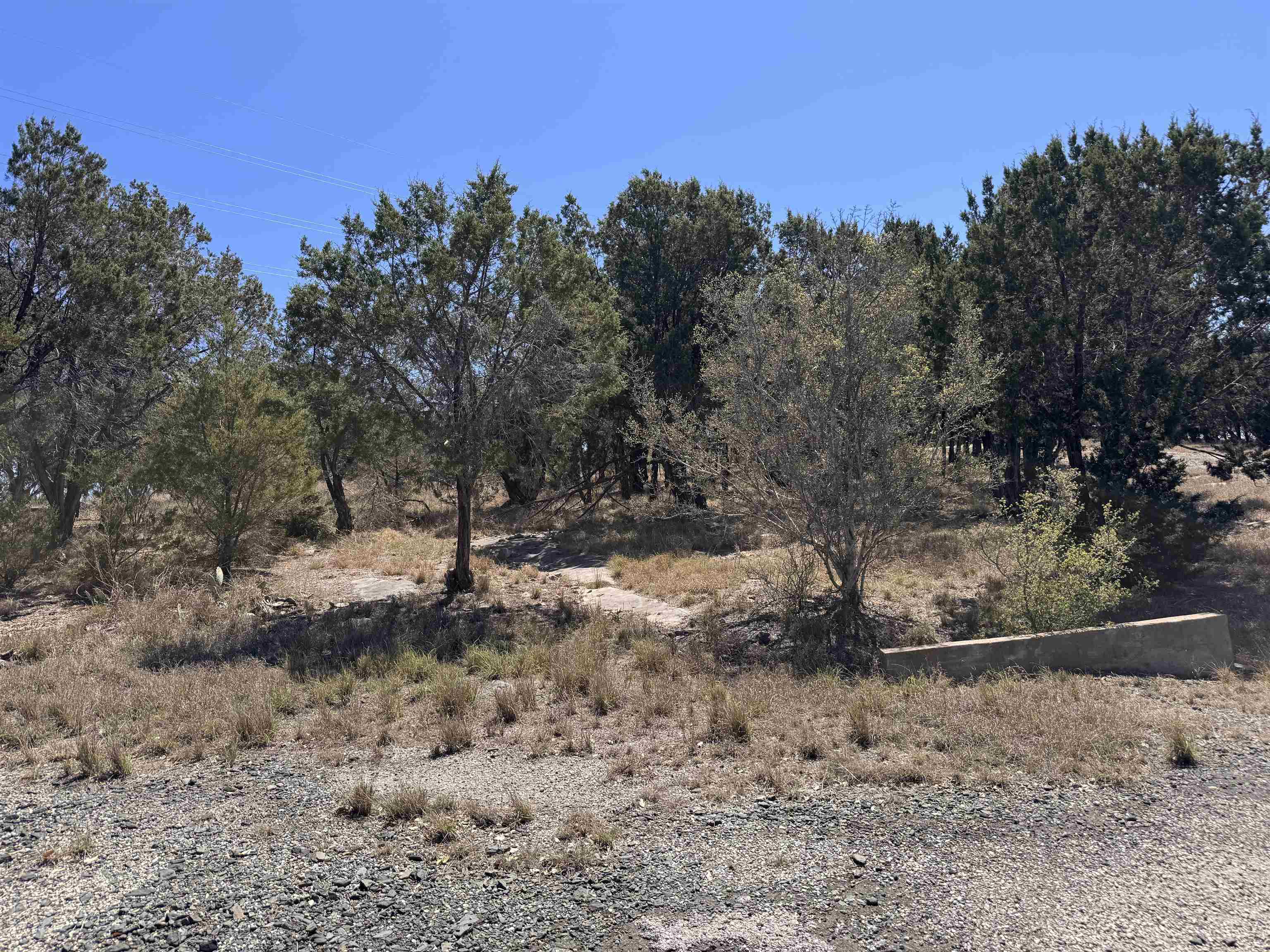 Lt K15042 Lone Star Property Photo 9
