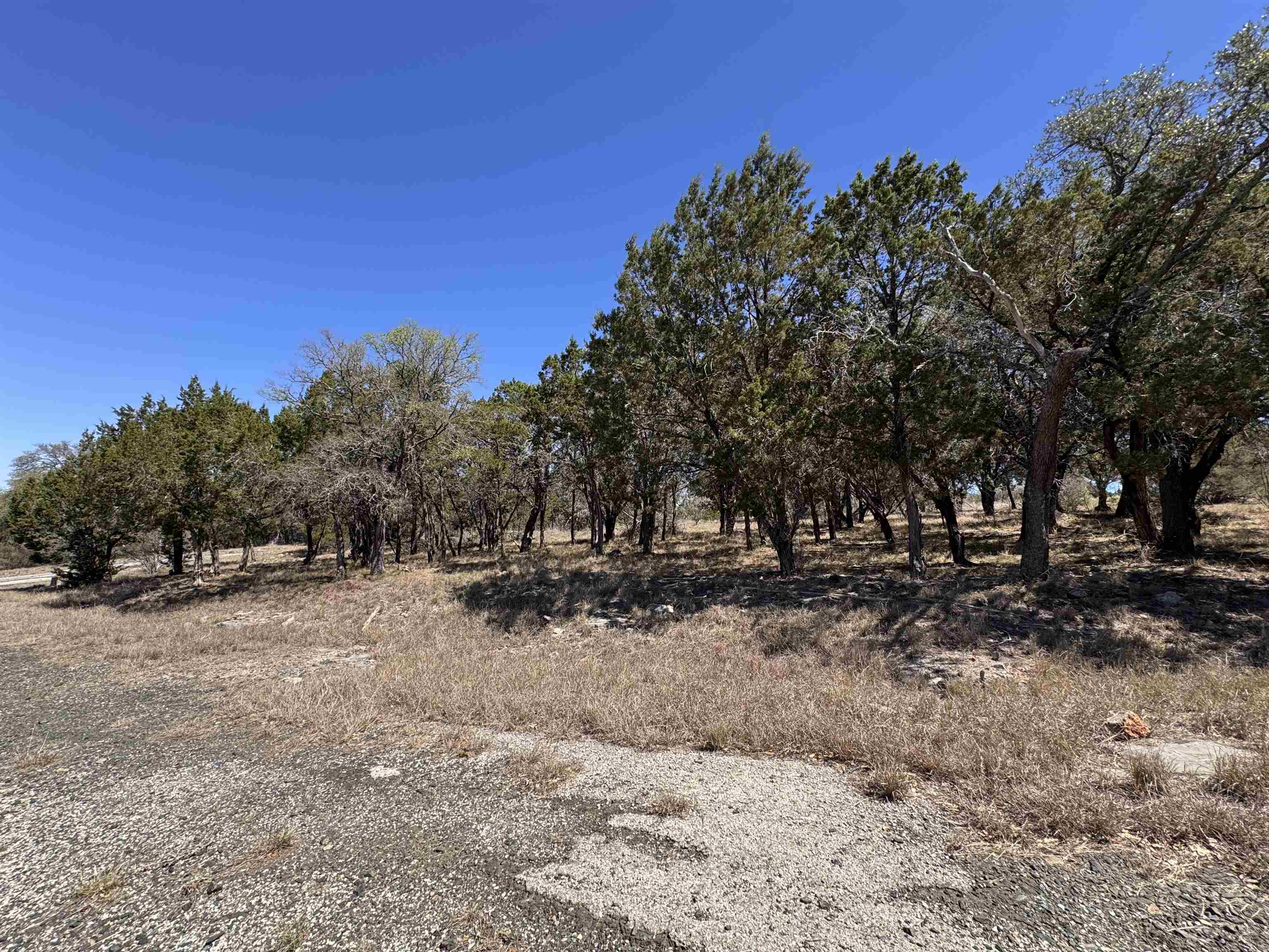 Lt K15042 Lone Star Property Photo 10