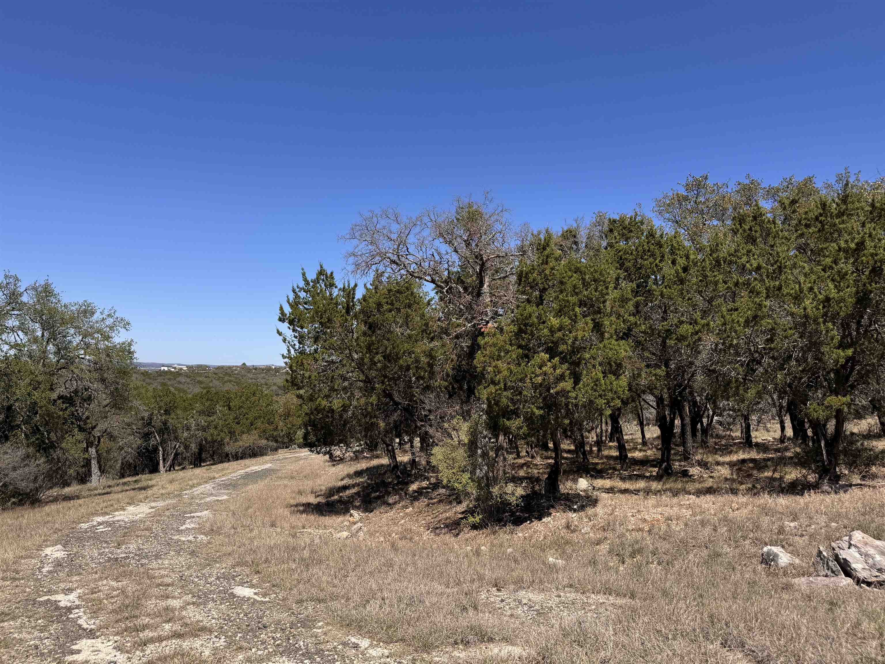 Lt K15042 Lone Star Property Photo 13