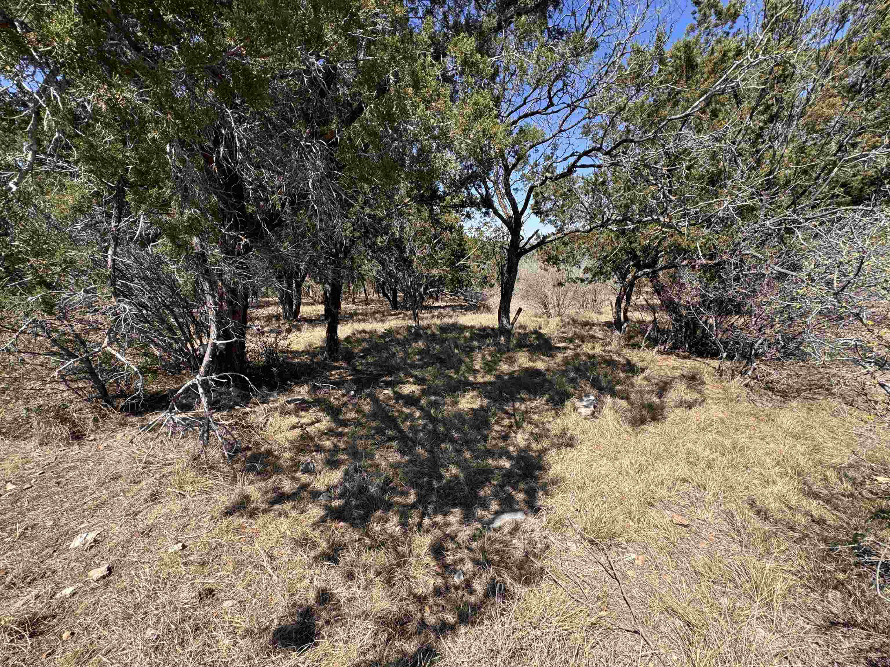 Lt K15042 Lone Star Property Photo 14