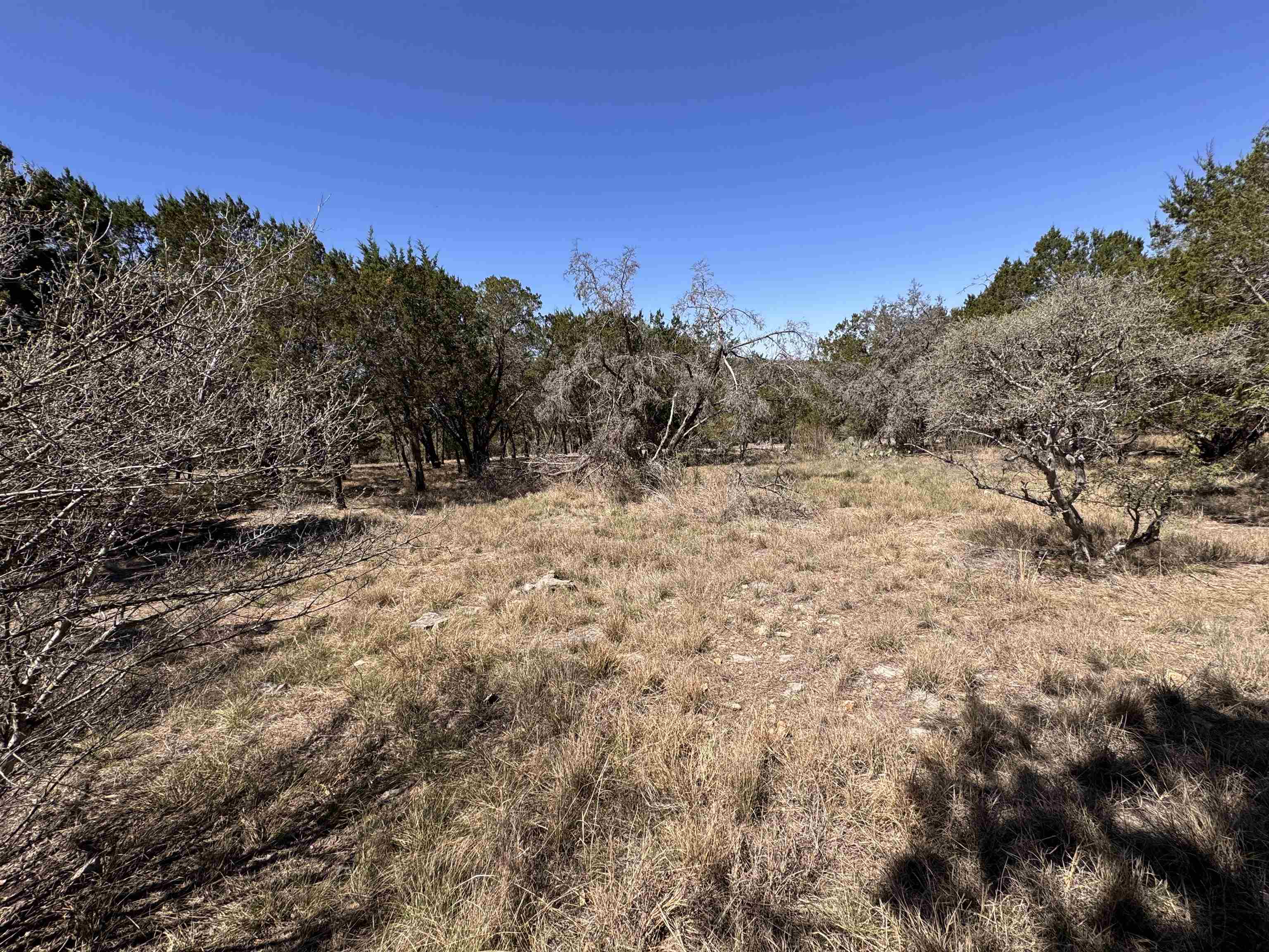 Lt K15042 Lone Star Property Photo 15