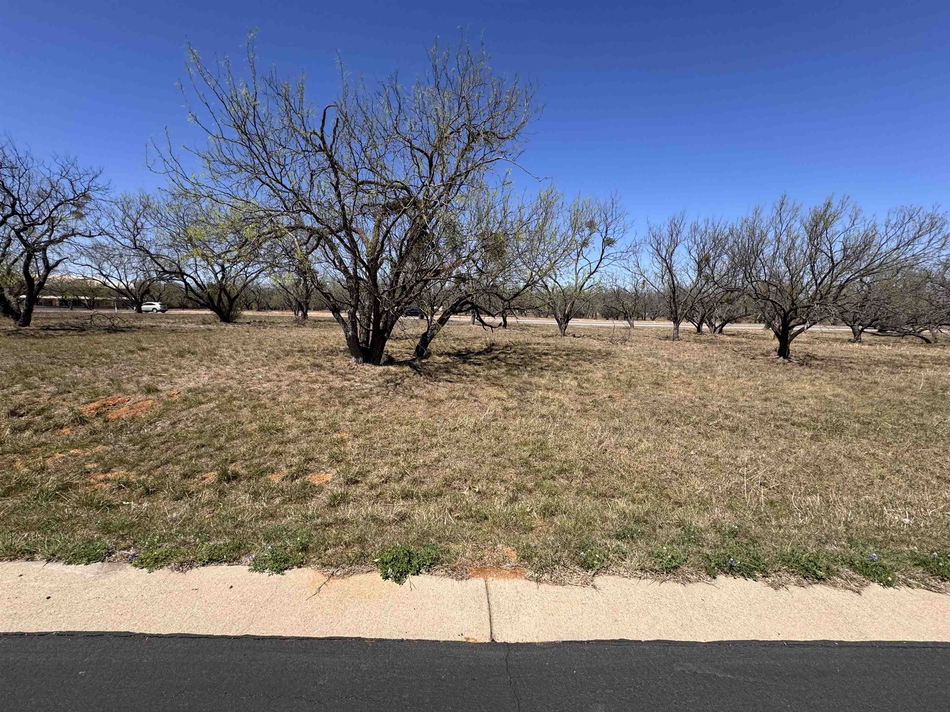 Lt 23004 Far West Property Photo 2