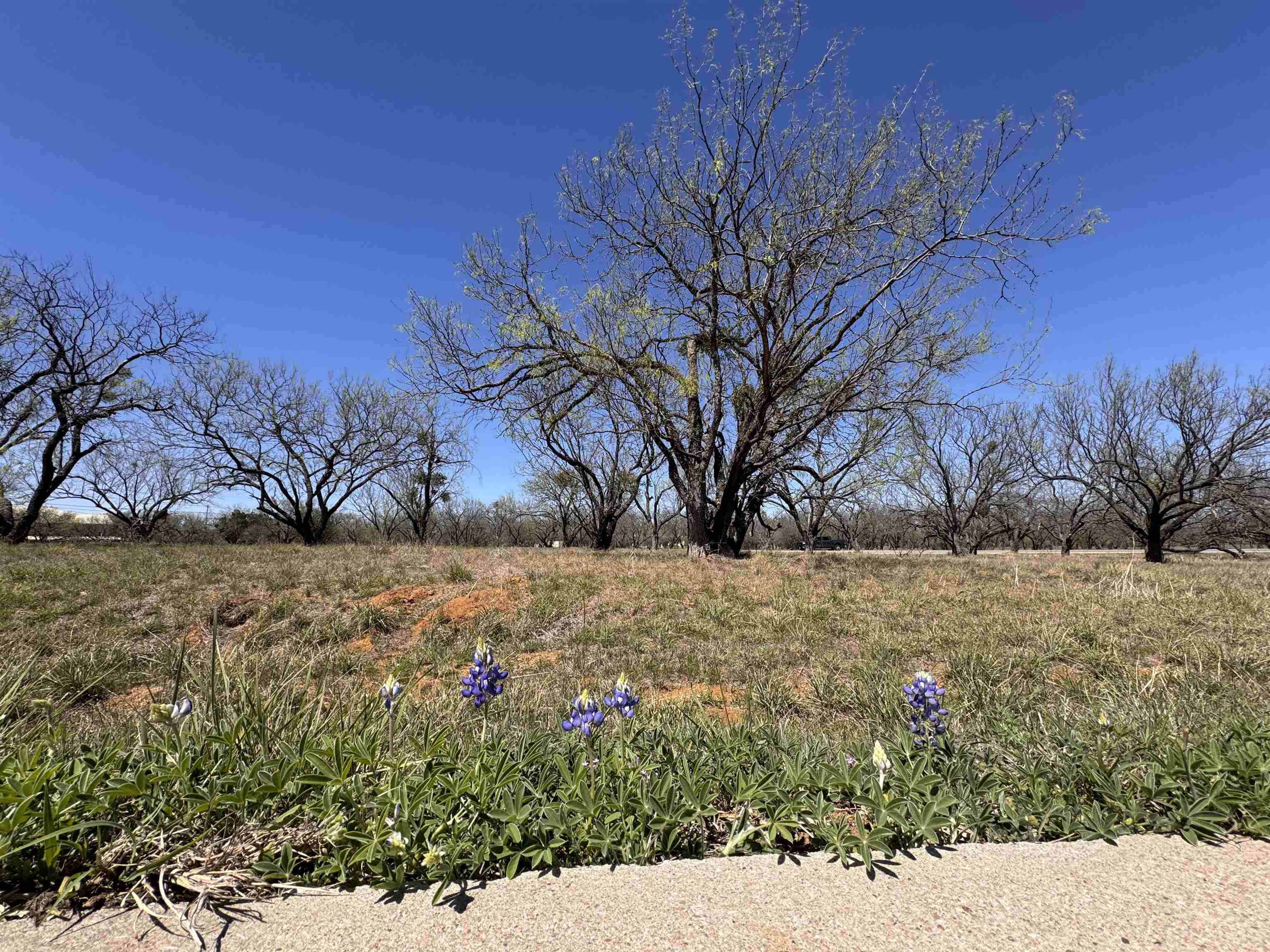 Lt 23004 Far West Property Photo 4