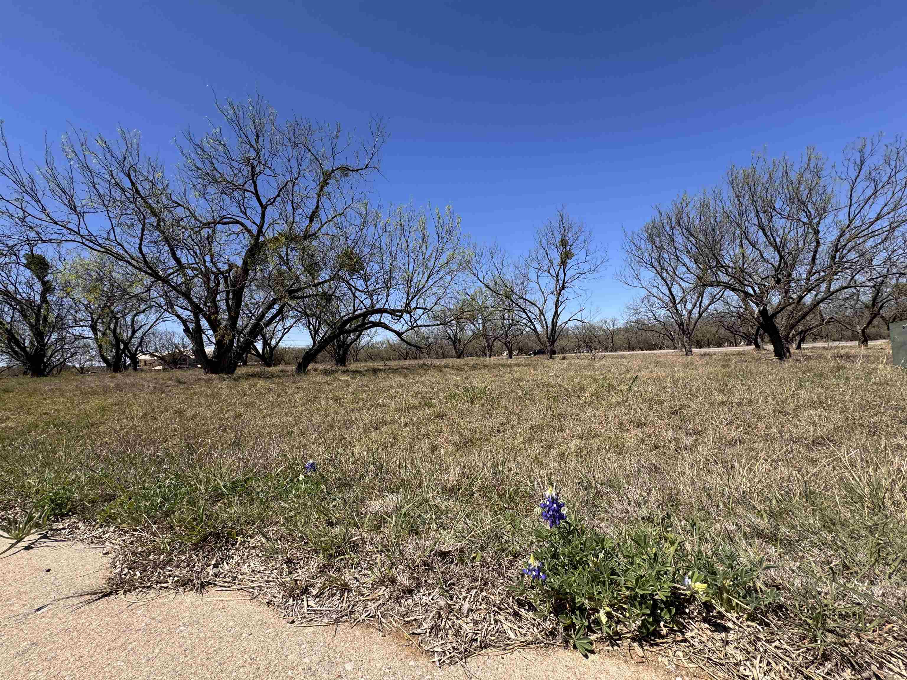 Lt 23004 Far West Property Photo 5